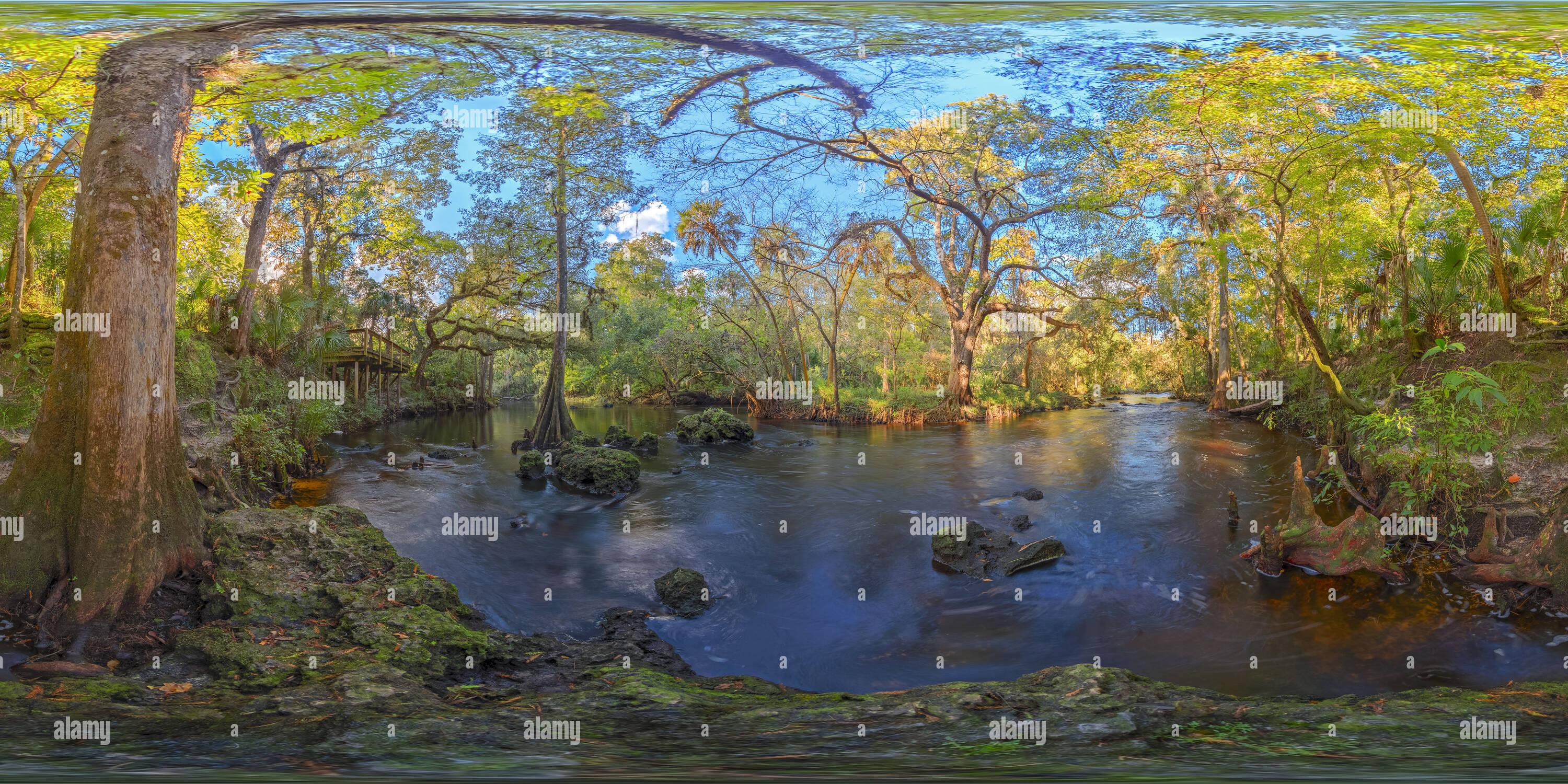 360 Grad Panorama Ansicht von Hillsborough River State Park unterhalb der Rapids