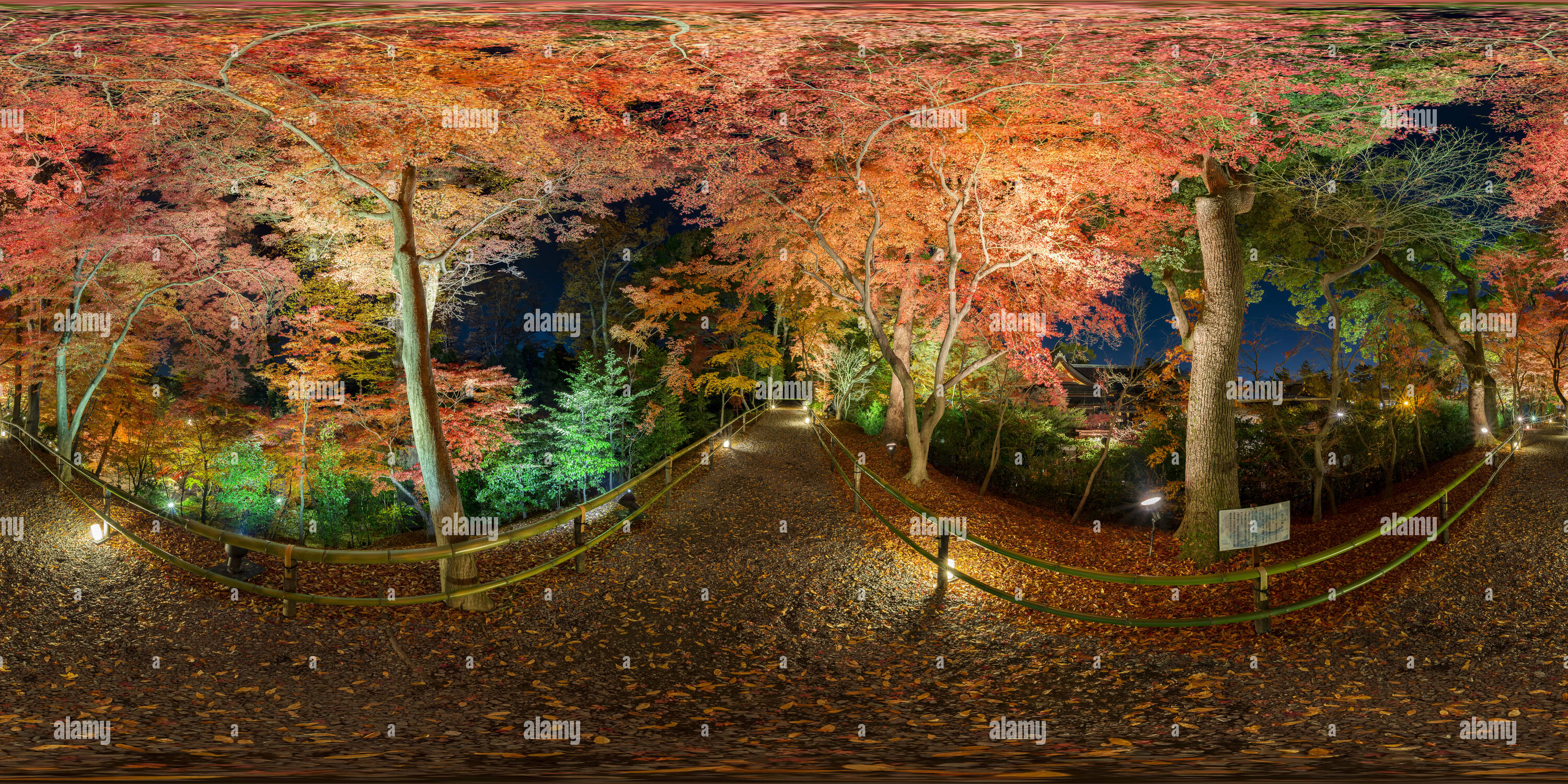 360 Grad Panorama Ansicht von Herbst Blätter sind beleuchtet in Kitano Tenman-gu Schrein Kyoto, Japan 07.