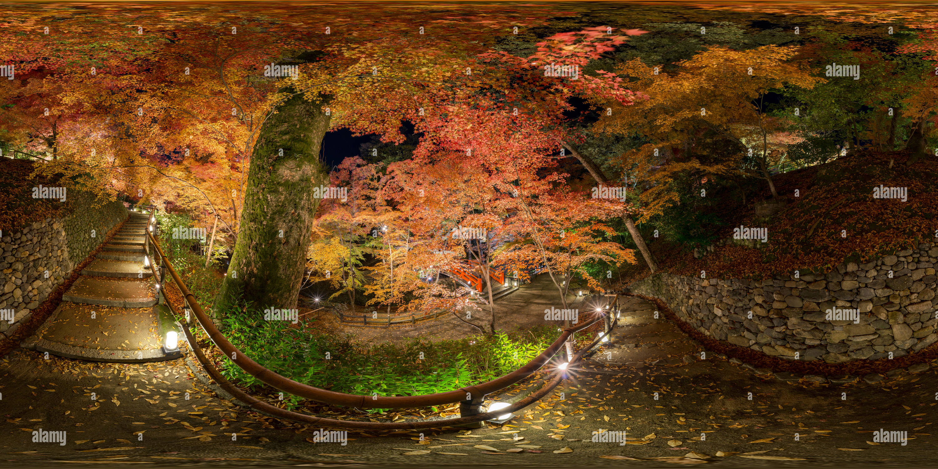 360 Grad Panorama Ansicht von Herbst Blätter sind beleuchtet in Kitano Tenman-gu Schrein Kyoto, Japan 01.