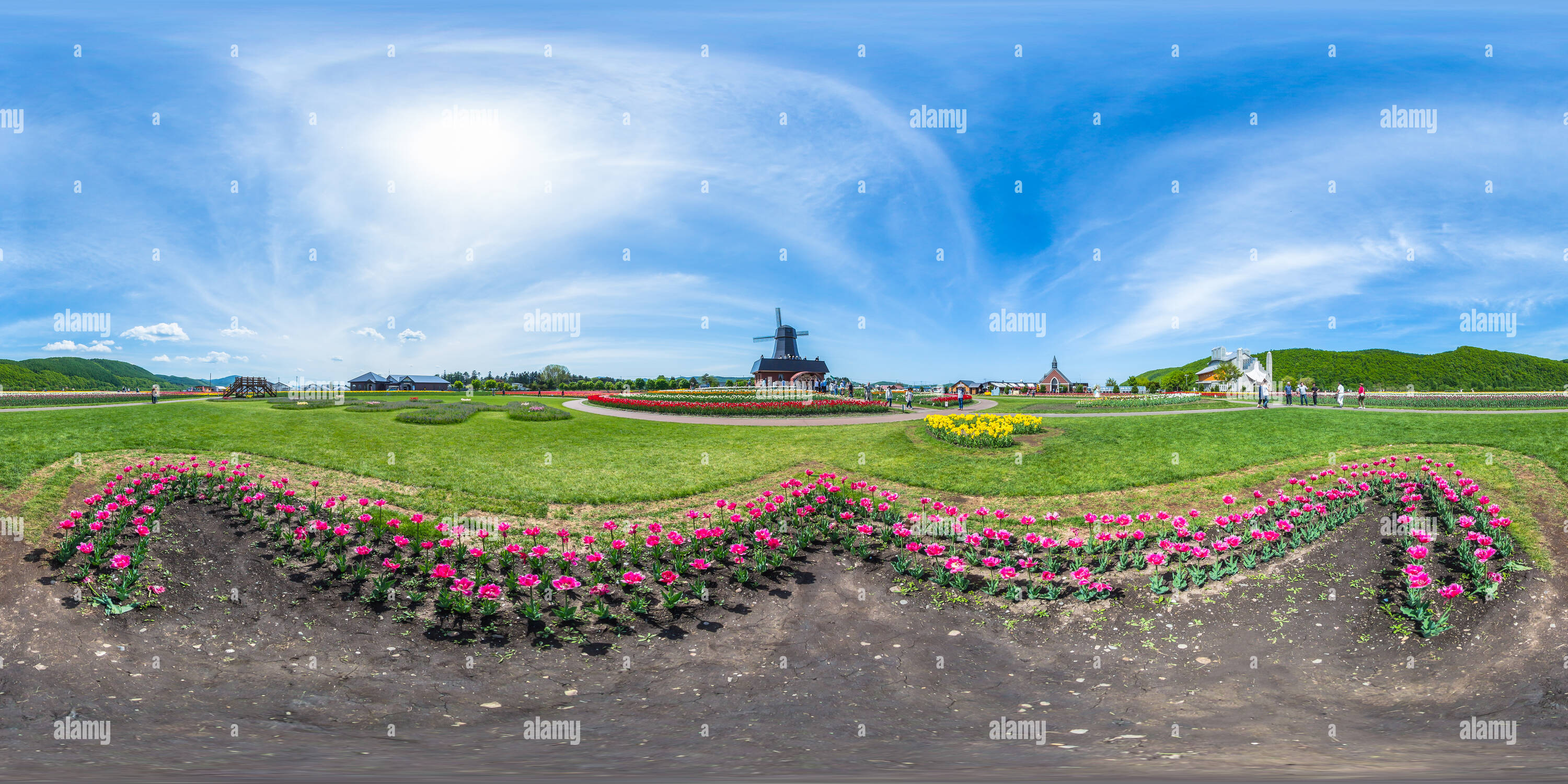 360 Grad Panorama Ansicht von Tulip Park - Kamiyubetsu - Hokkaido - Japan