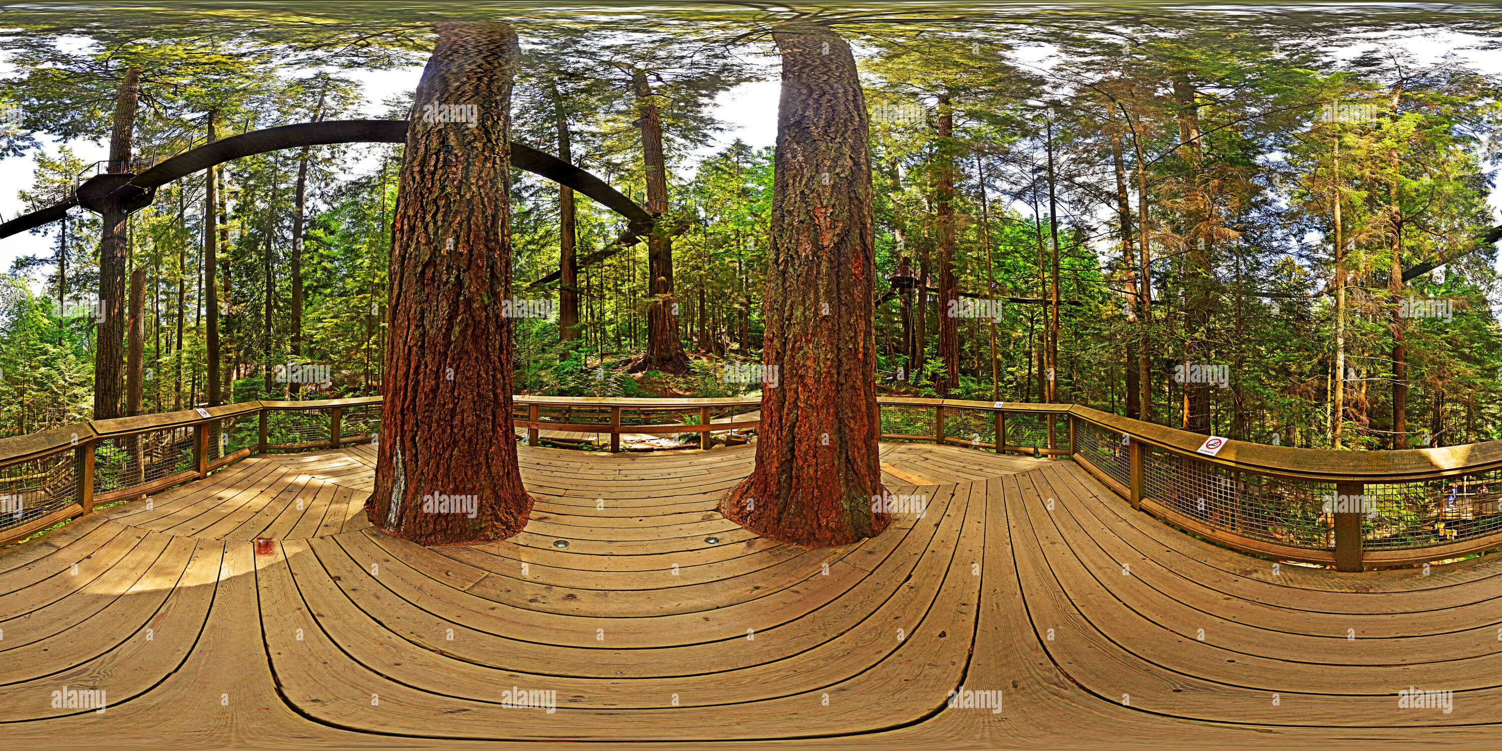 360 Grad Panorama Ansicht von Capilano Park Tree Tops Abenteuer, Vancouver