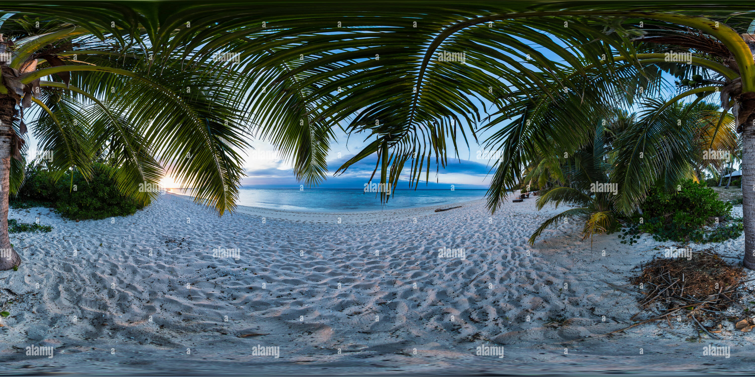 360 Grad Panorama Ansicht von Unter den Palmen am Strand bei Sonnenuntergang auf Beachcomber Island Resort, Mamanuca Inselgruppe - Fidschi Inseln - Ozeanien