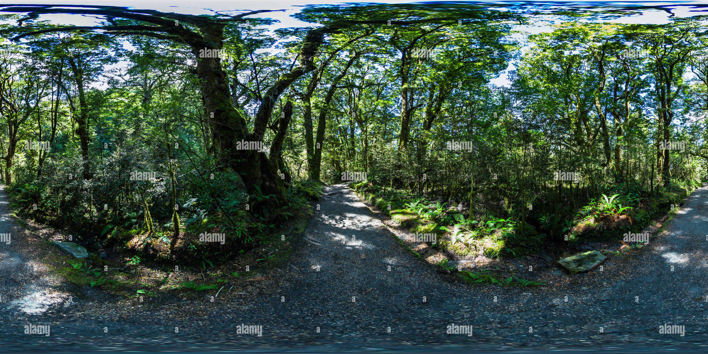 360 Grad Panorama Ansicht von Blue Pools Track-Mount Aspiring National Park - Westland District - Westküste - Neuseeland