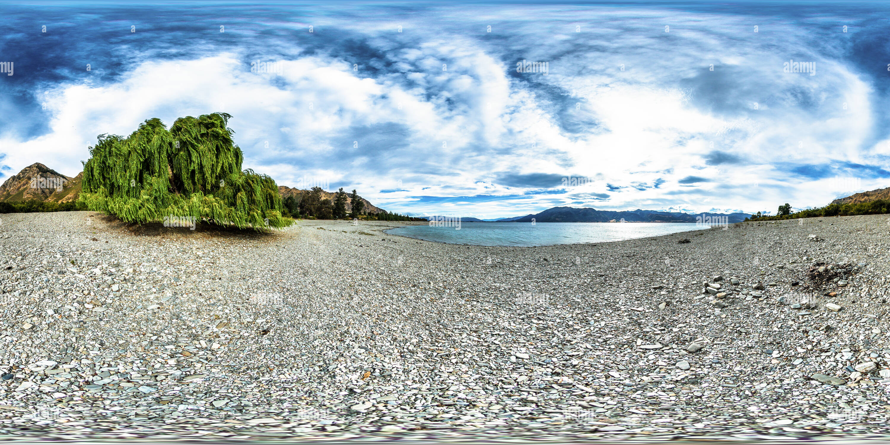 360 Grad Panorama Ansicht von Weeping Willow Tree am Lake Hawea - Queenstown Lakes District - Otago - Neuseeland