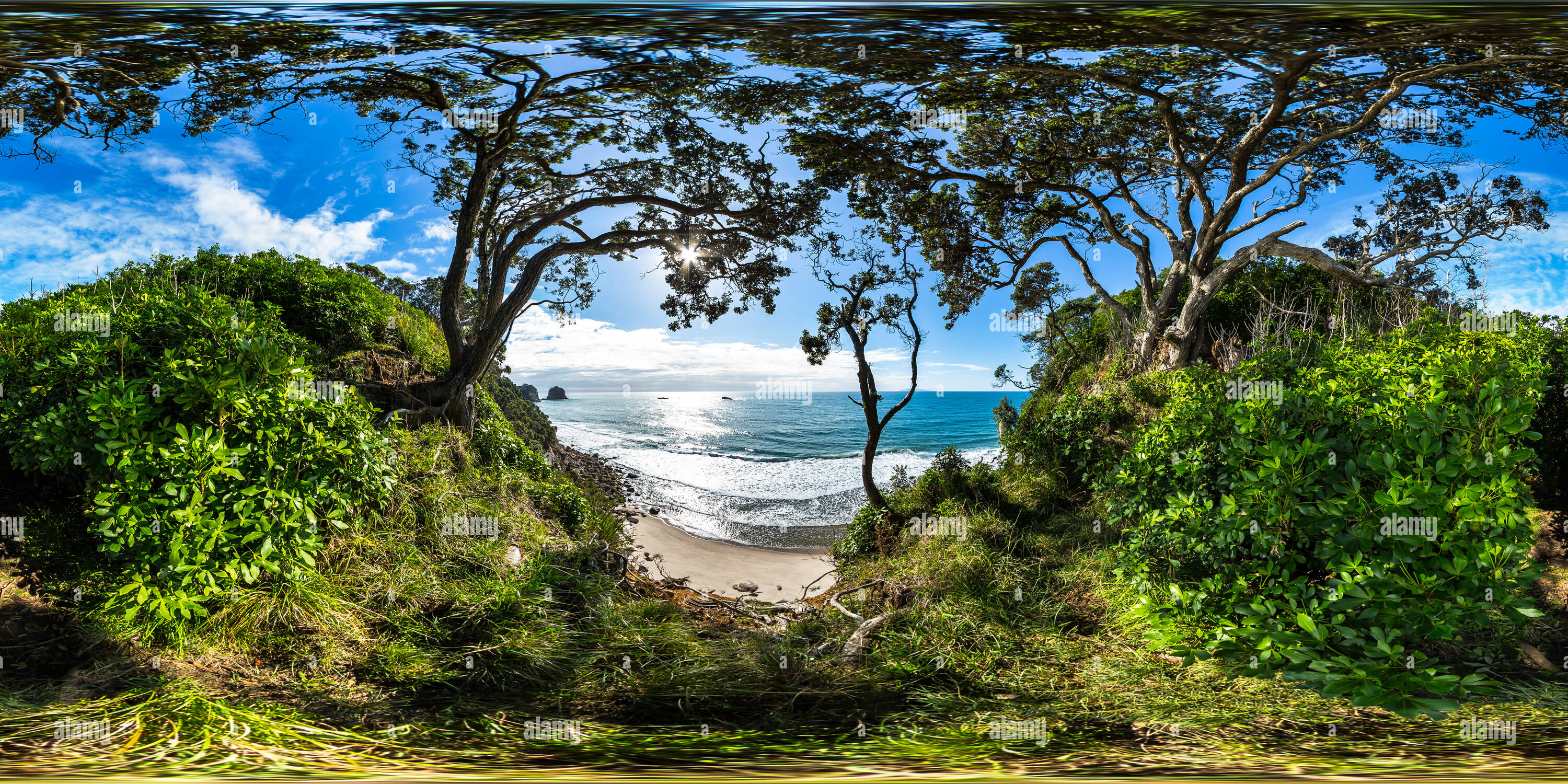 360 Grad Panorama Ansicht von Klippen - Whiritoa - Coromandel Halbinsel - Waikato, Neuseeland