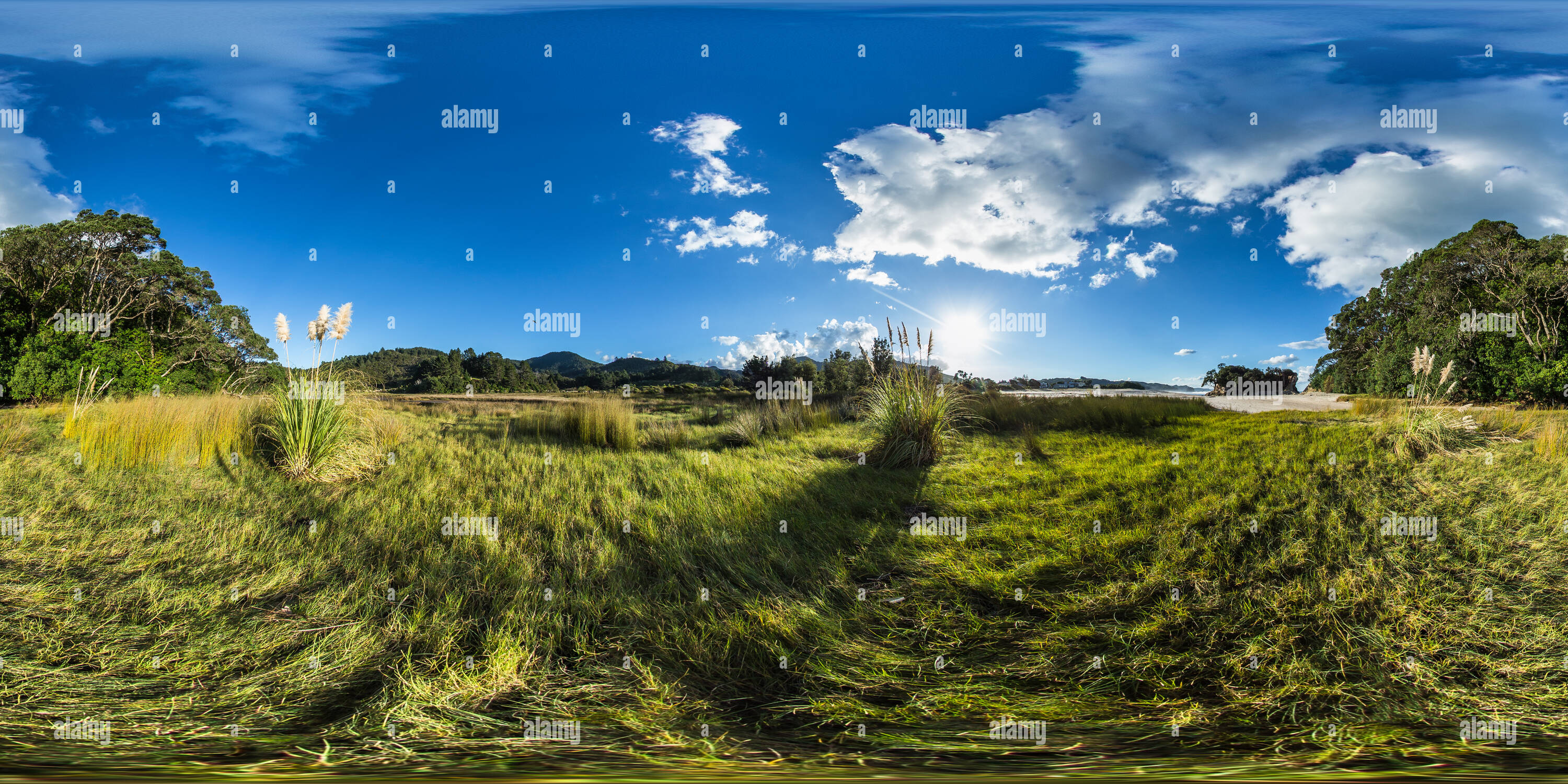 360 Grad Panorama Ansicht von Wunderschöne Landschaft am Strand - Whiritoa Whiritoa - Coromandel Halbinsel - Waikato, Neuseeland