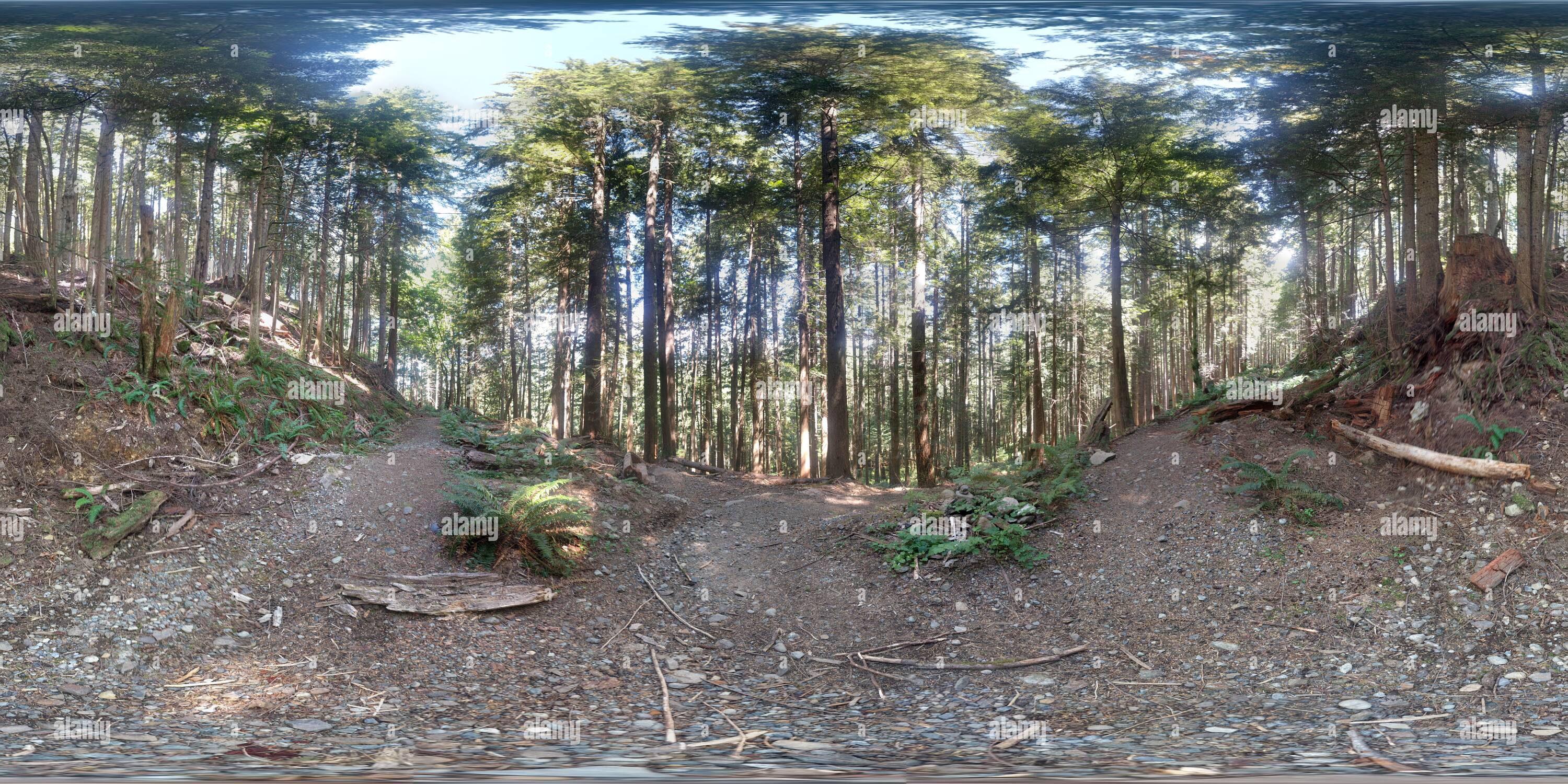 360 Grad Panorama Ansicht von Die Kreuzung der Alten und Neuen Granite Lake Trail, North Bend, Washington