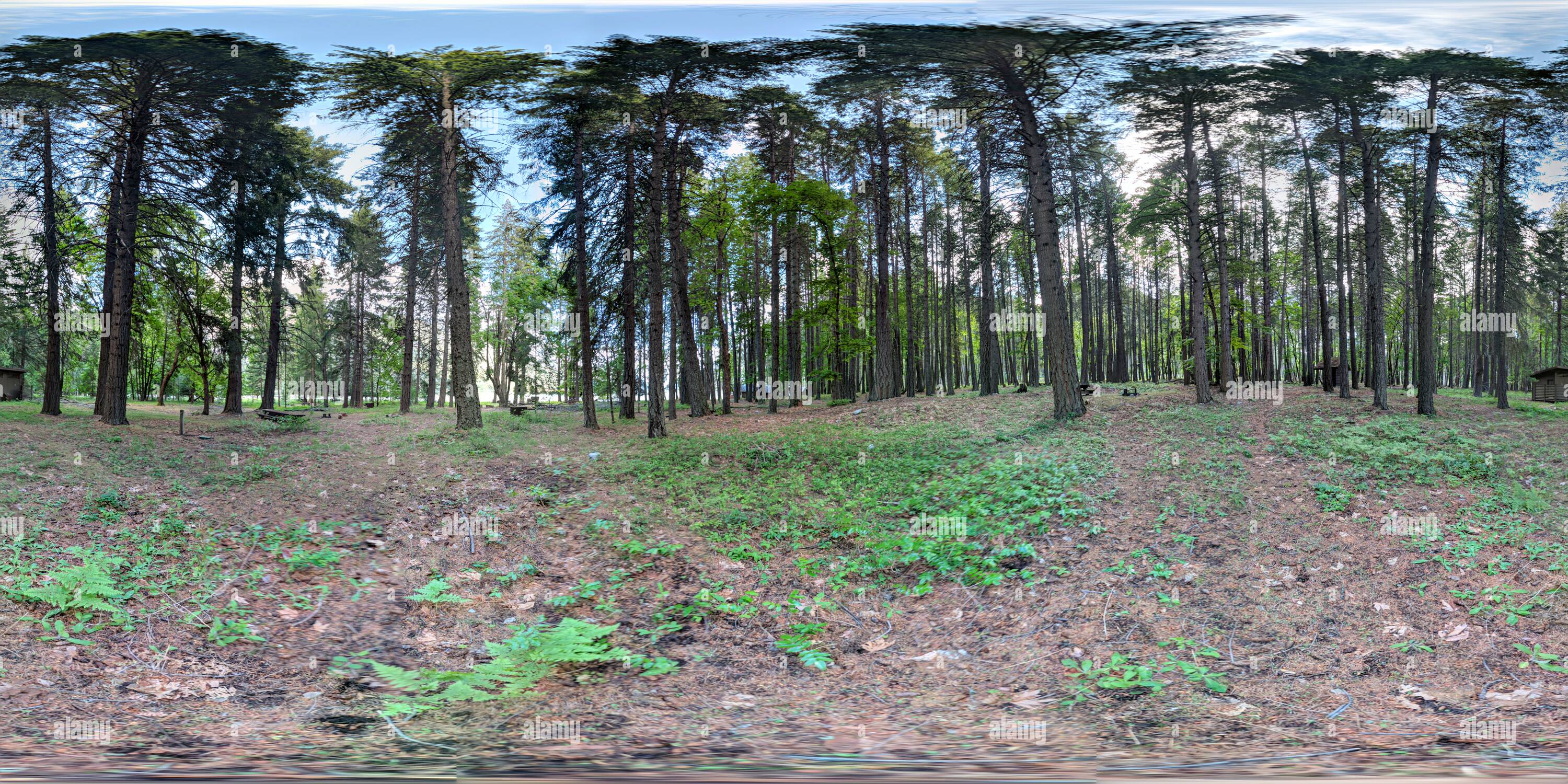 360 Grad Panorama Ansicht von Weaver Point Campground, Lake Chelan, WA