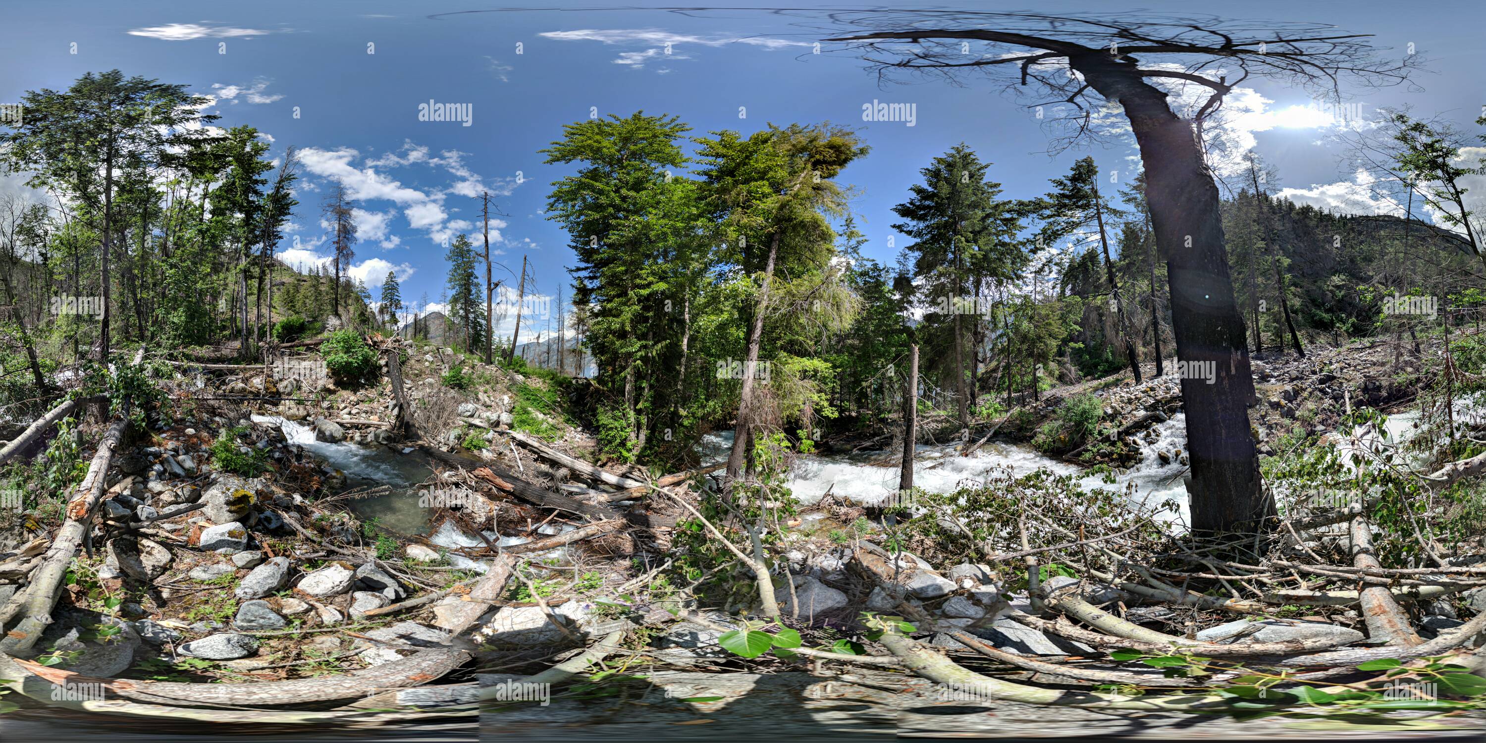 360 Grad Panorama Ansicht von Domke Creek, Lake Chelan, WA