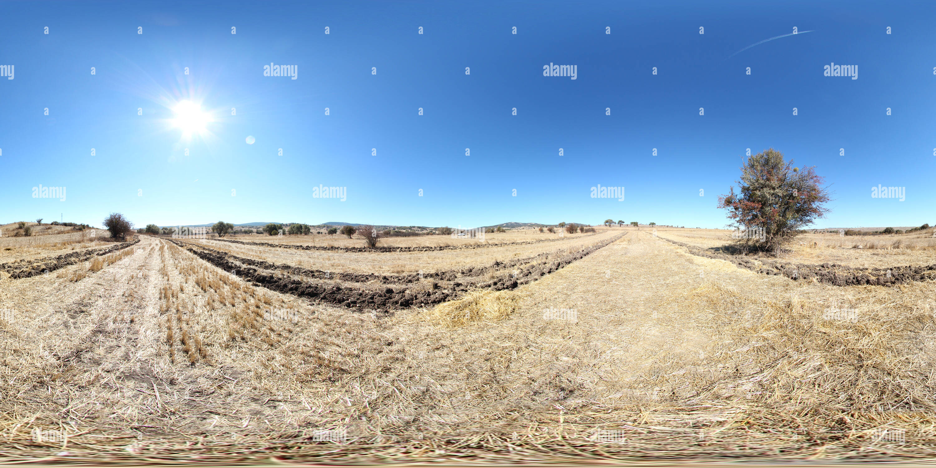 360 Grad Panorama Ansicht von 245561 - Dodurga - bilecik Sanal Tur