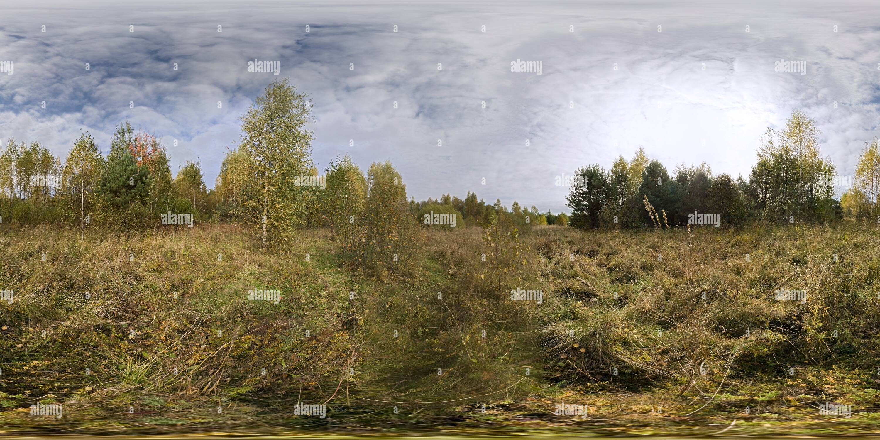 360 Grad Panorama Ansicht von Russland. Oblast Twer. Wald Grenze