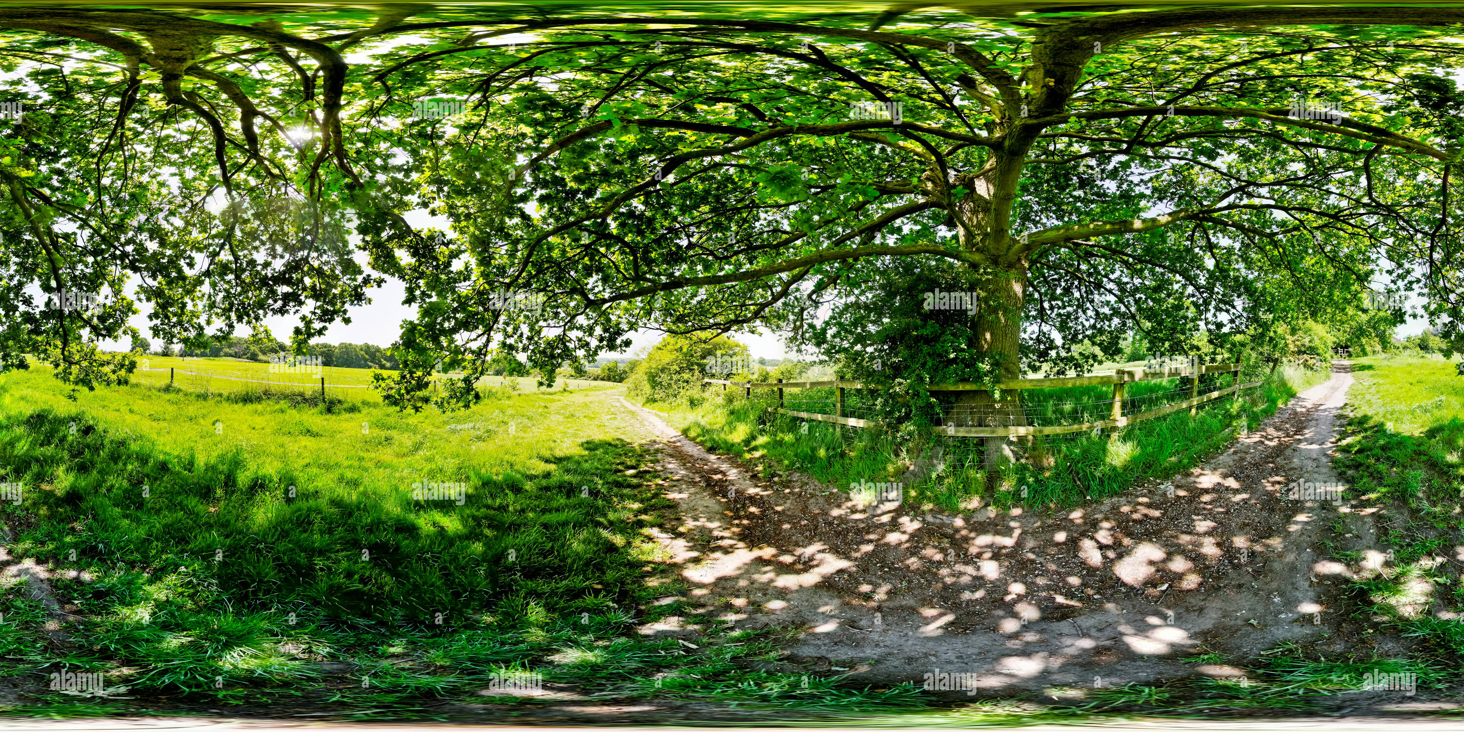 360 Grad Panorama Ansicht von Laurel Farm, Totteridge