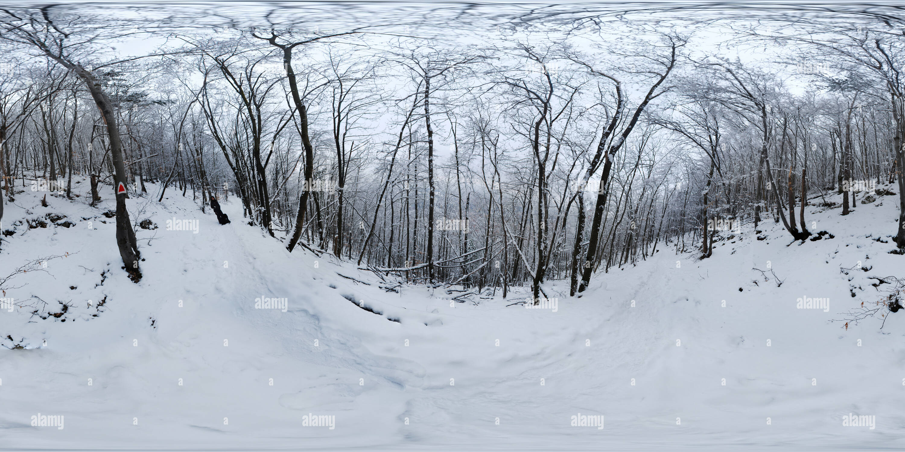360 Grad Panorama Ansicht von Iarna pe Tâmpa