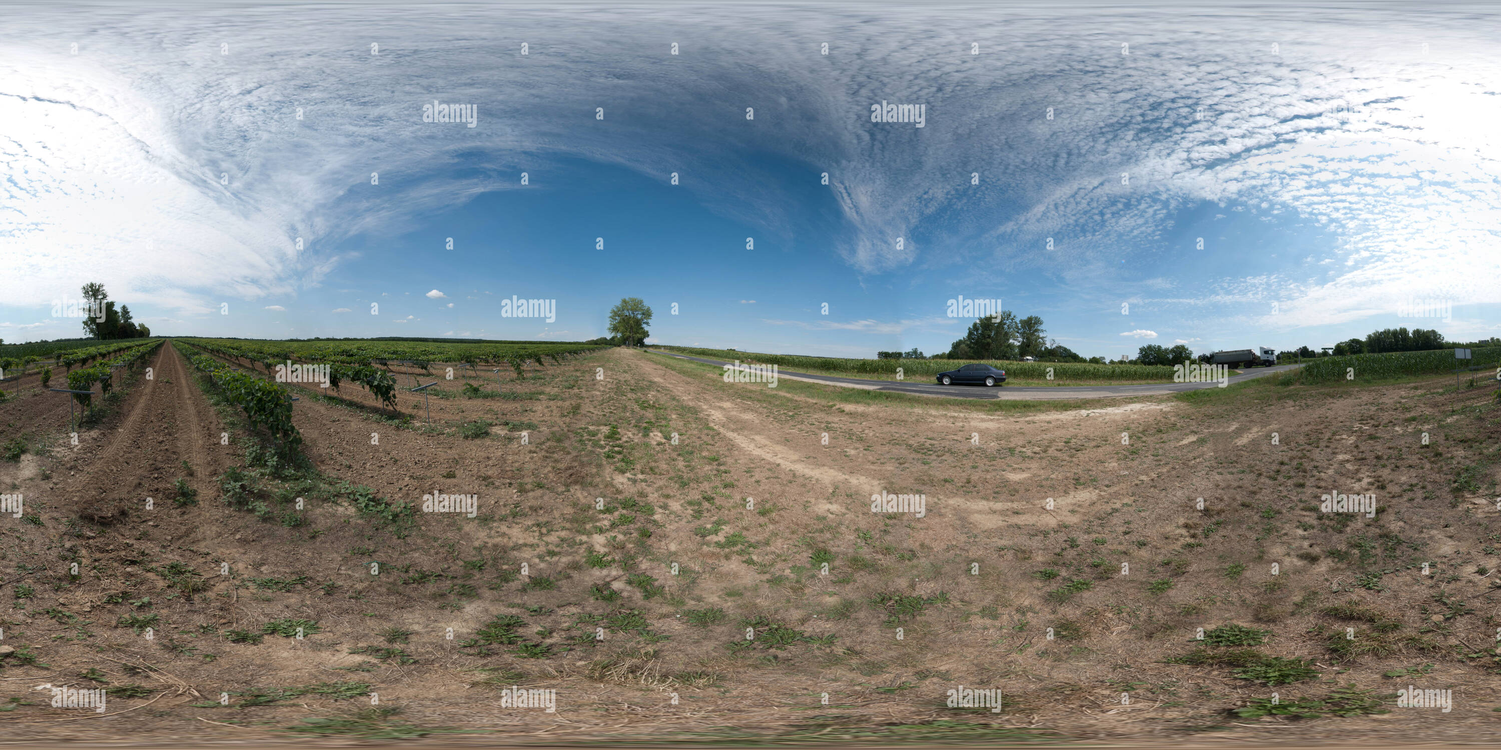 360 Grad Panorama Ansicht von Kisfalud landwirtschaftlichen Bereich,