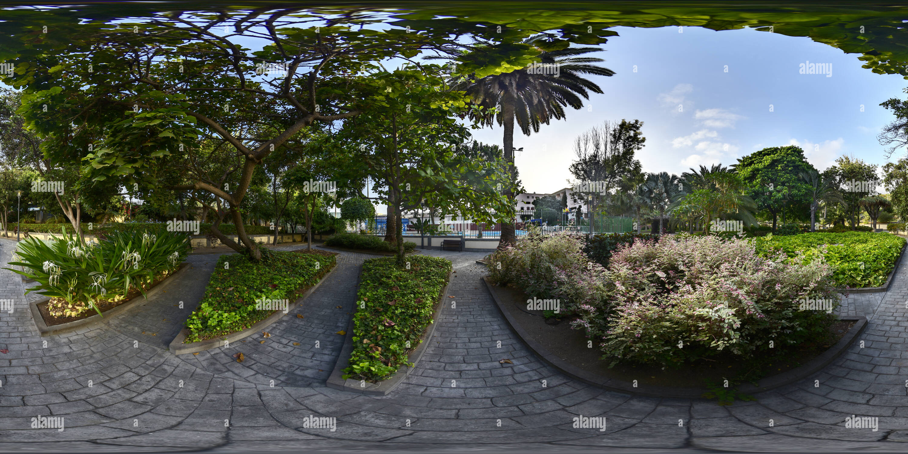 360 Grad Panorama Ansicht von Doramas Park #2