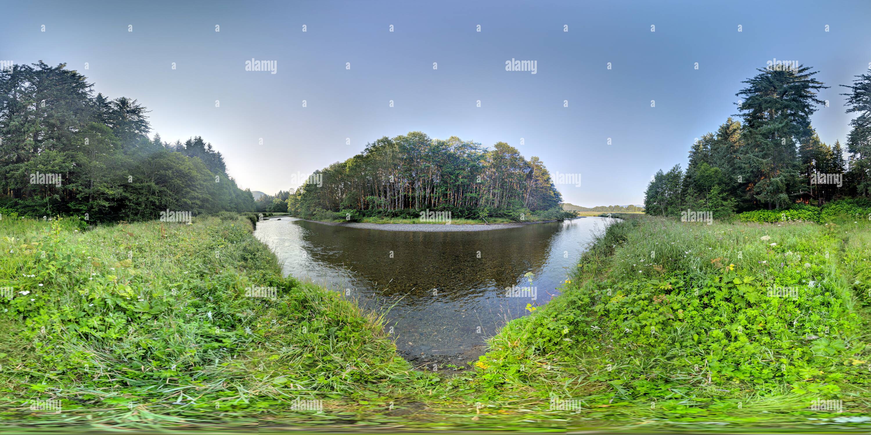 360 Grad Panorama Ansicht von Creek in der Nähe der Admiralität Cove NFS-Kabine, Admiralty Island, Alaska