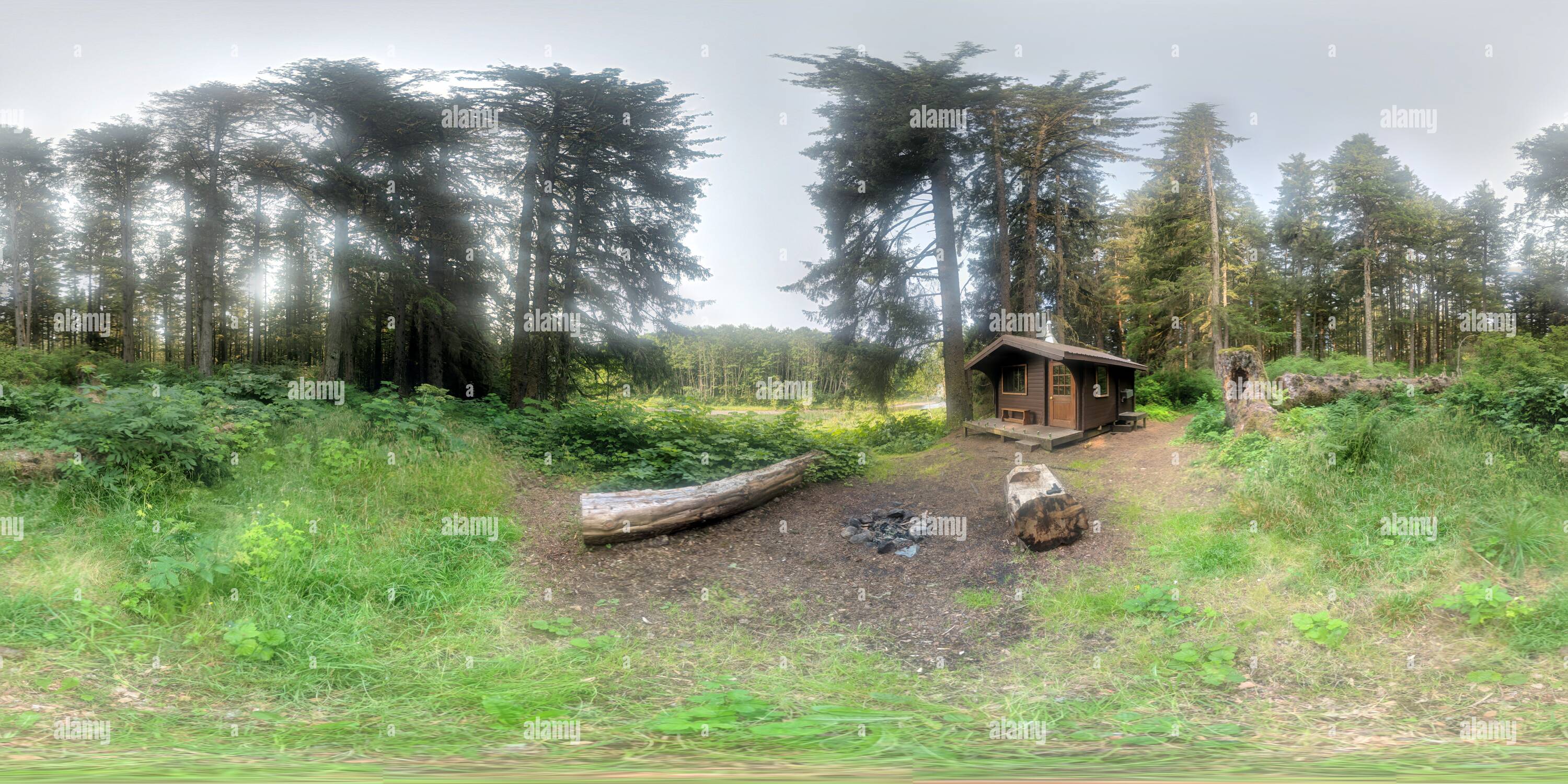 360 Grad Panorama Ansicht von In der Nähe der Admiralität Cove NFS-Kabine, Admiralty Island, Alaska