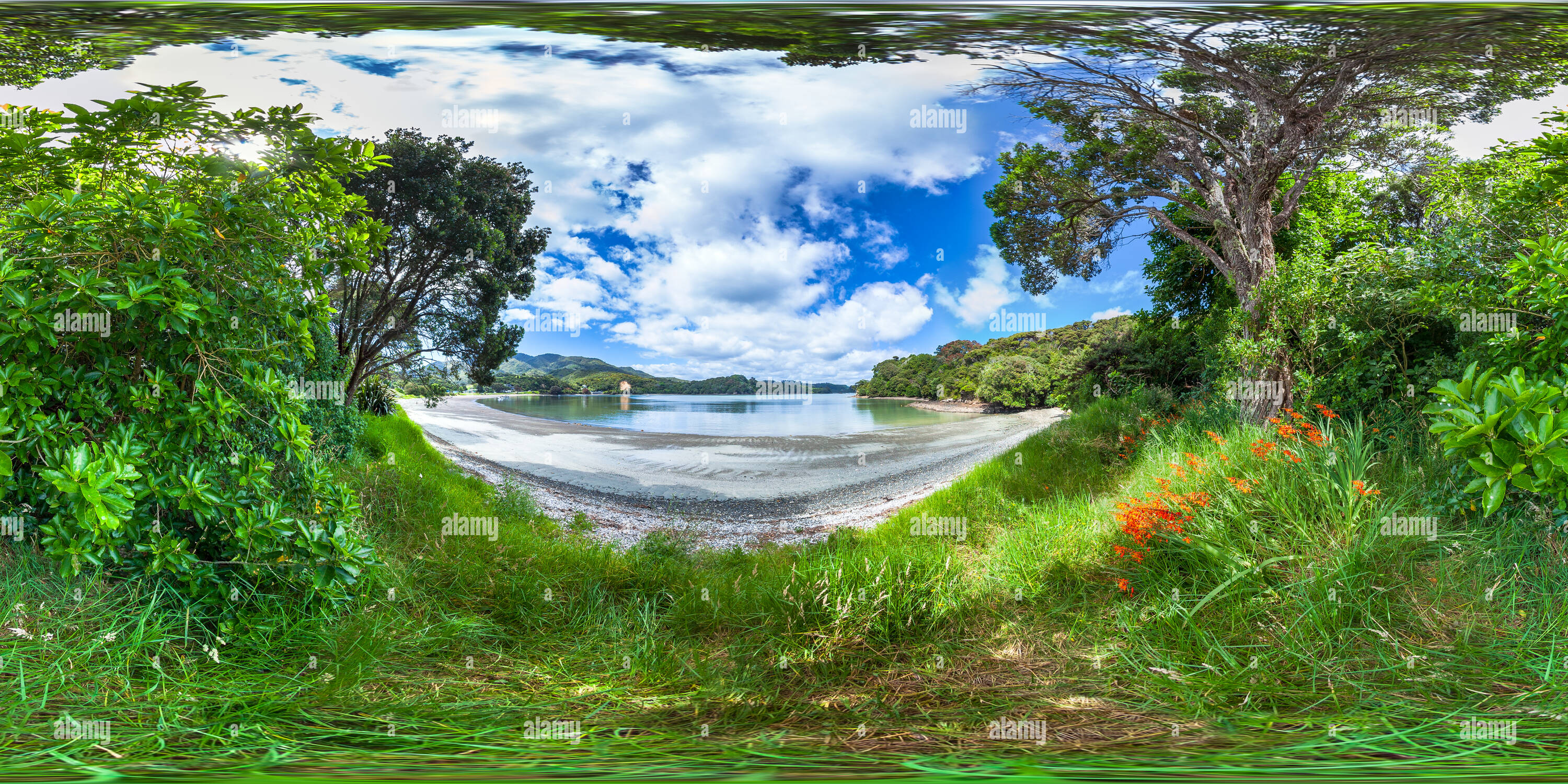 360 Grad Panorama Ansicht von Bush Spaziergang am Strand - Hauai Bucht - Rawhiti - Bucht von Inseln - Northland - Neuseeland - Ozeanien