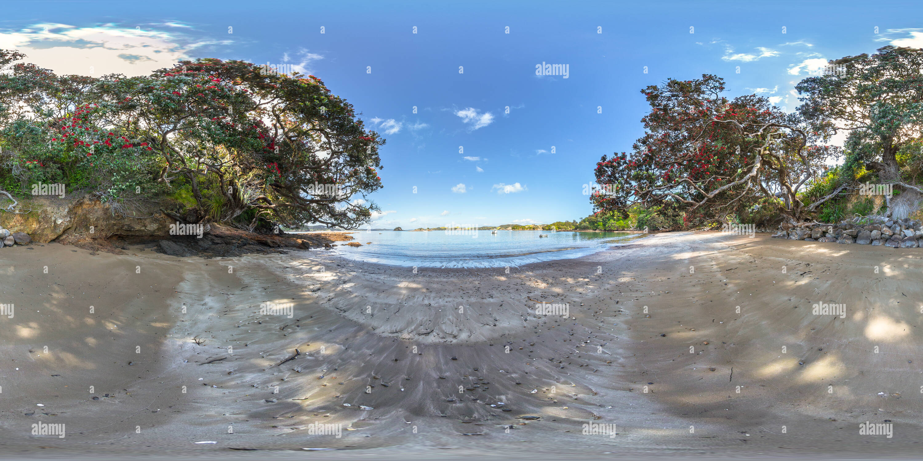 360 Grad Panorama Ansicht von Pohutukawa Bäume - Onepoto Bucht - Rawhiti - Bucht von Inseln - Northland - Neuseeland - Ozeanien