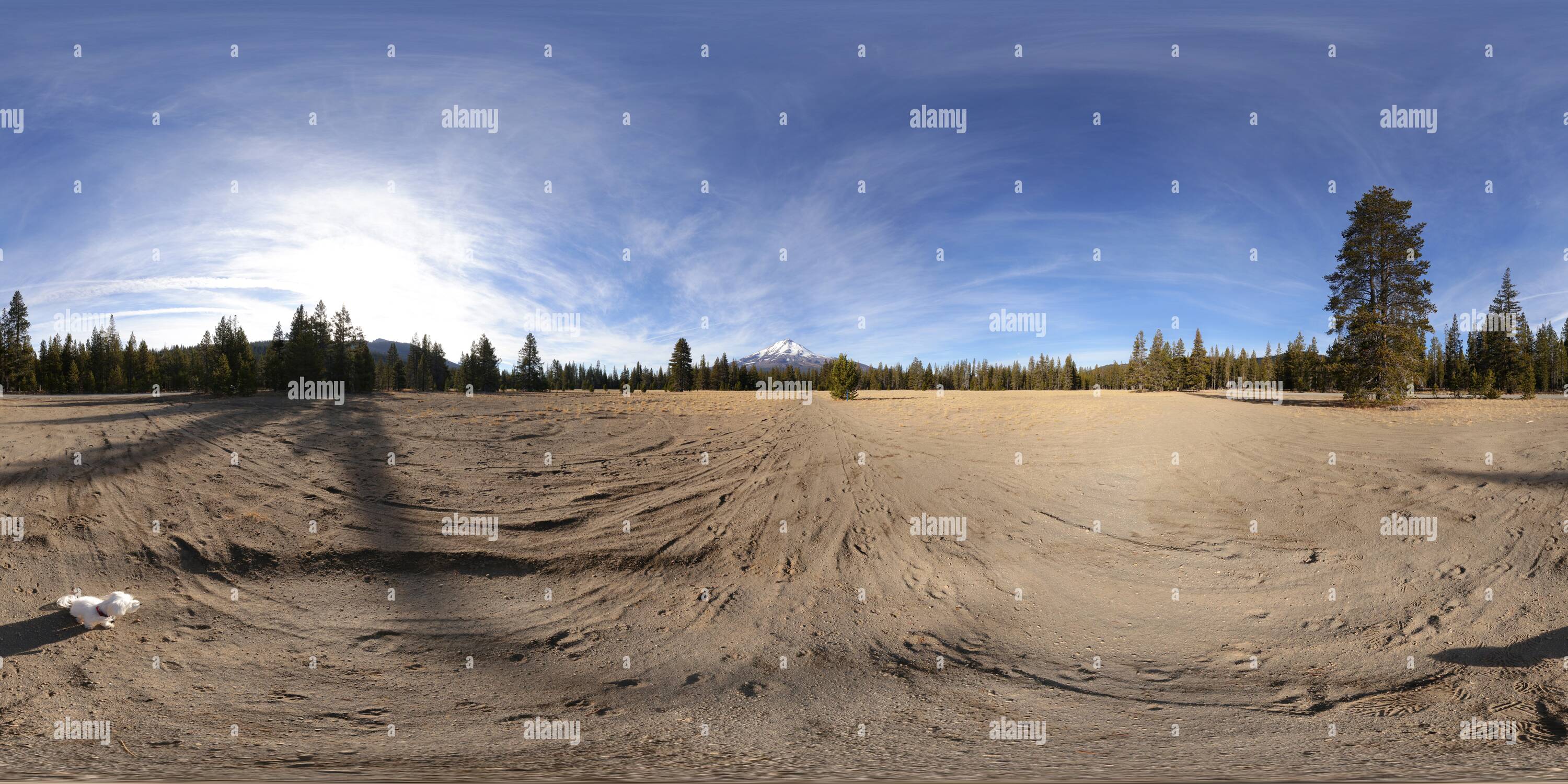 360 Grad Panorama Ansicht von Mt. Shasta von FS-19