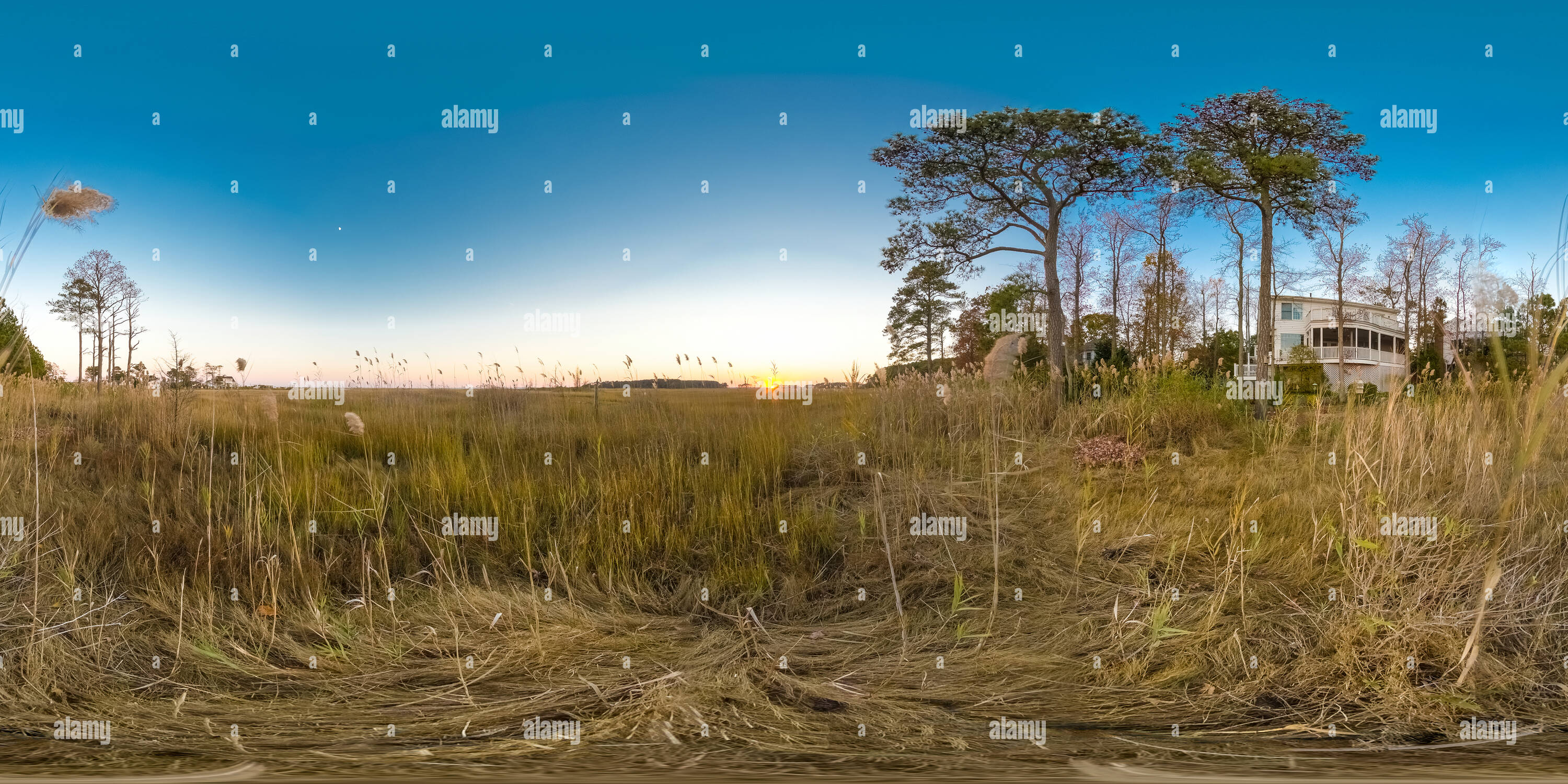 360 Grad Panorama Ansicht von Rehoboth Bay Marsh