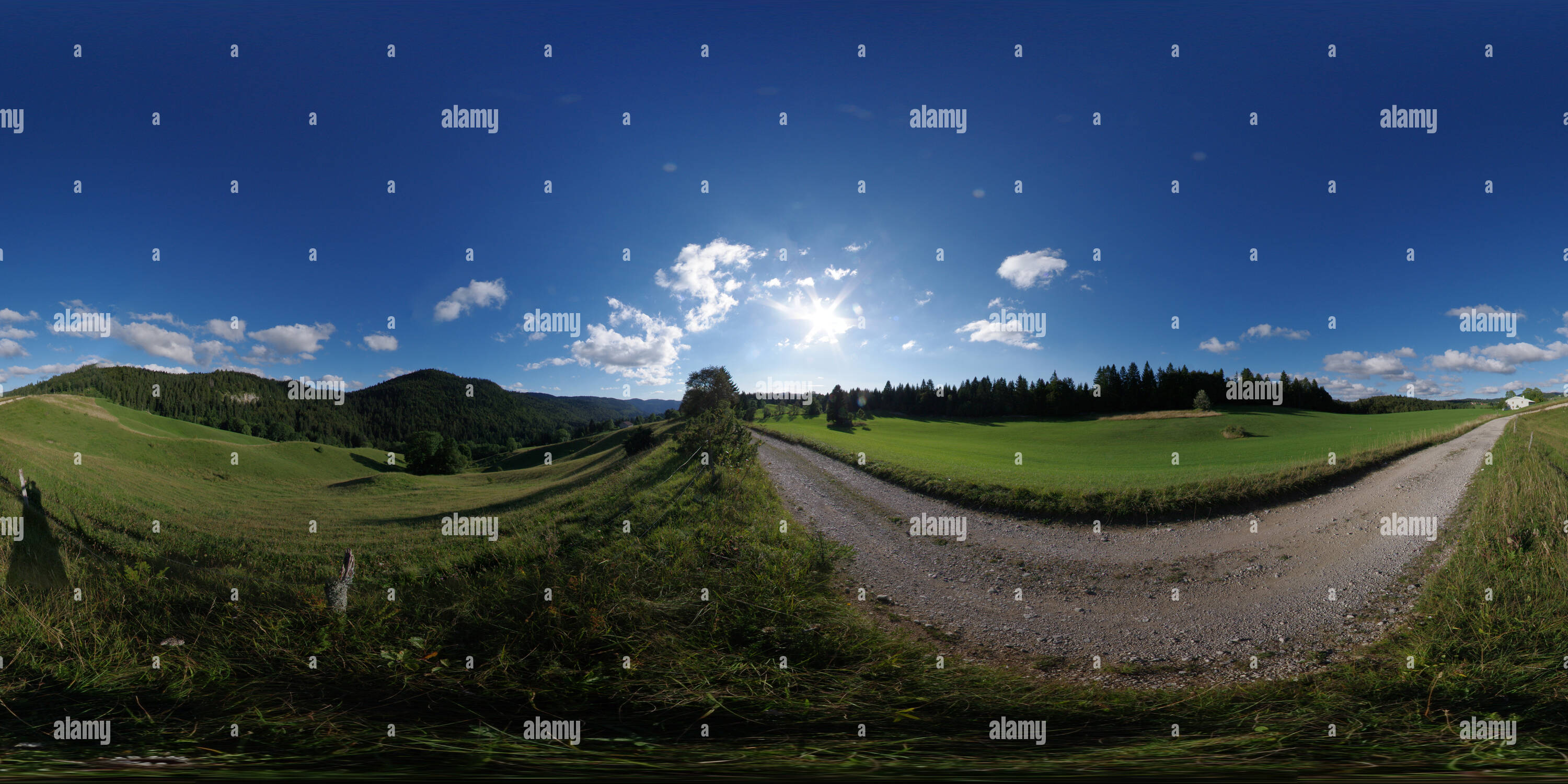 La cheneviere Fotos und Bildmaterial in hoher Auflösung Alamy