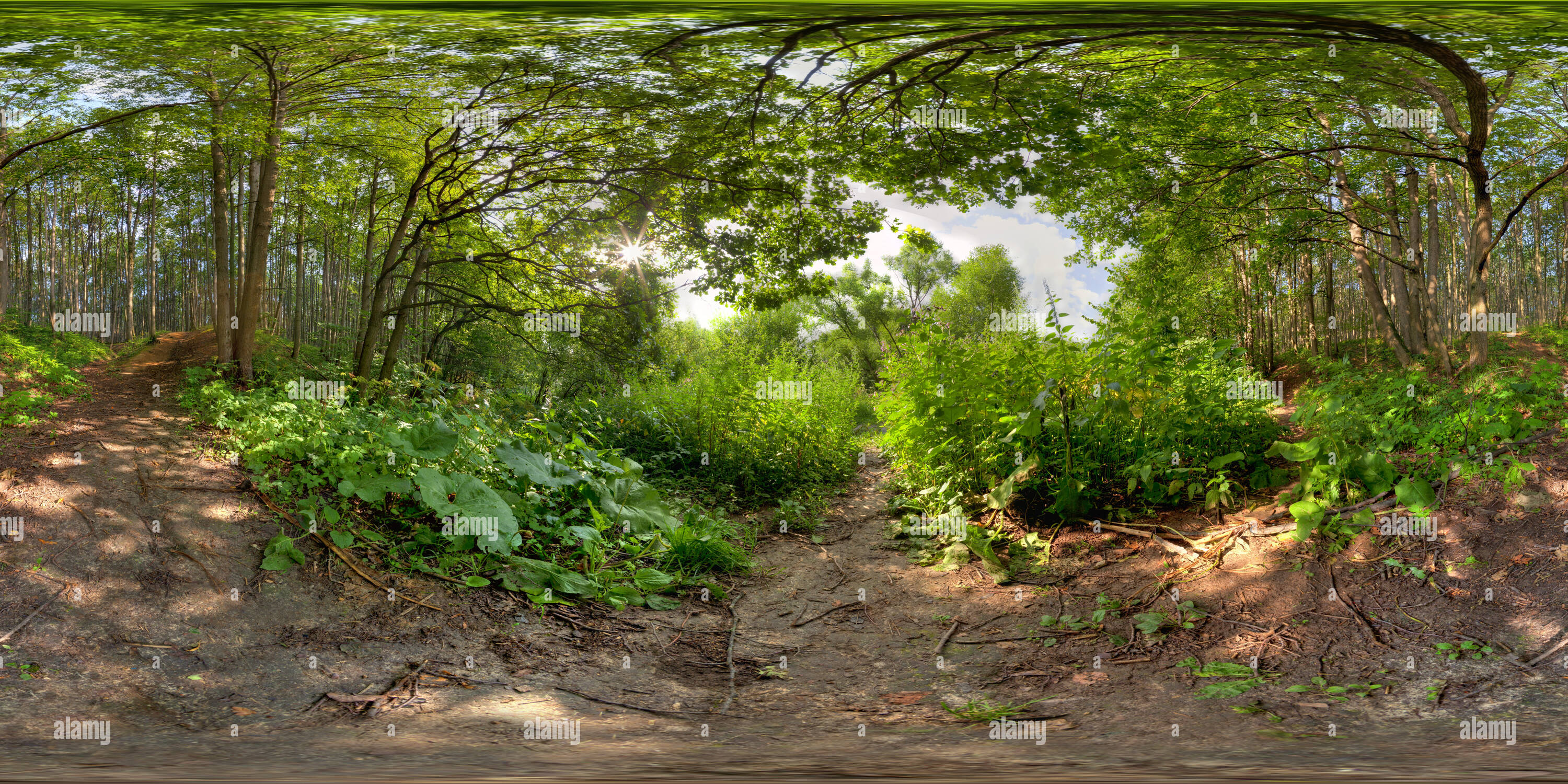 360 Grad Panorama Ansicht von Bitza Park, Moskau
