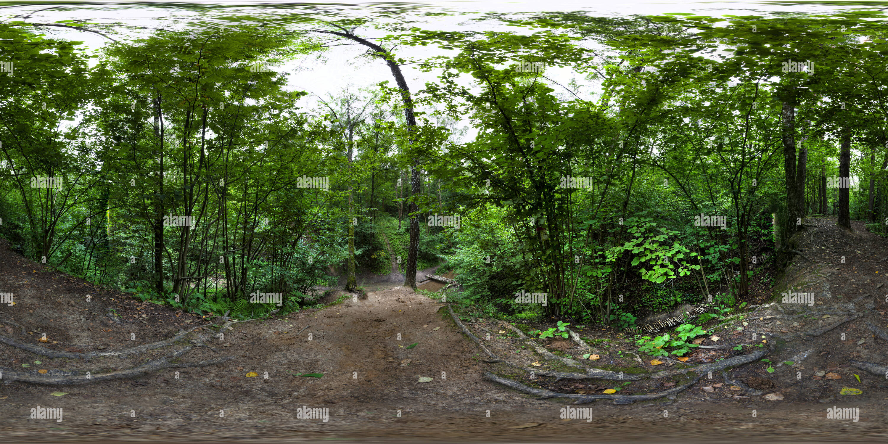 360 Grad Panorama Ansicht von Bitza Park, Moskau