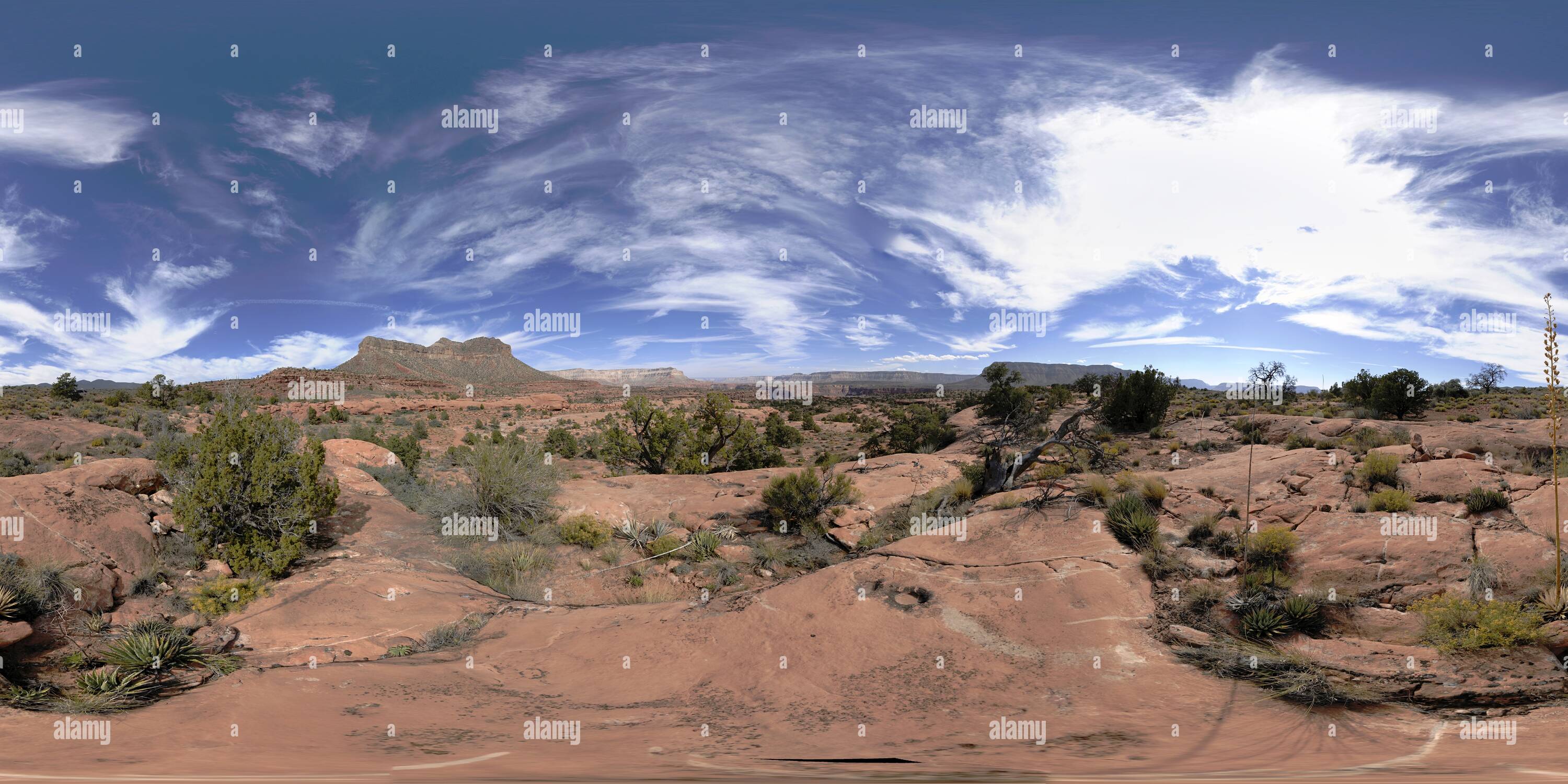 360 Grad Panorama Ansicht von In der Nähe des Toroweap übersehen auf der Grand Canyon North Rim
