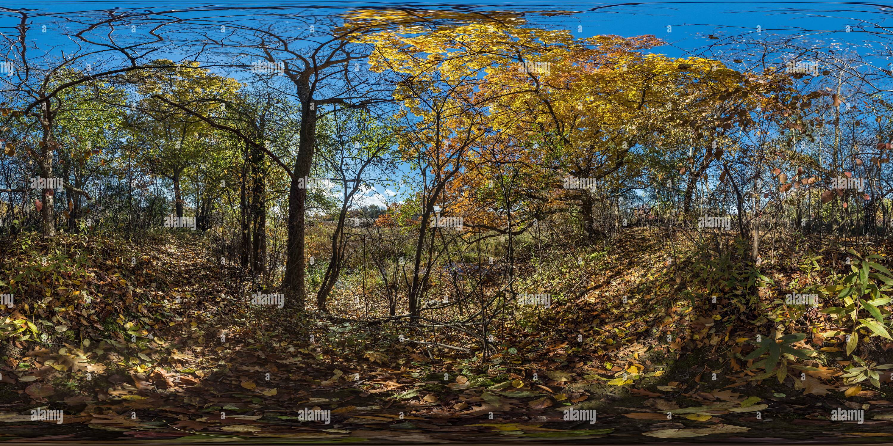 360 Grad Panorama Ansicht von Goldene November Tag entlang Carruthers Creek, Ajax, AUF