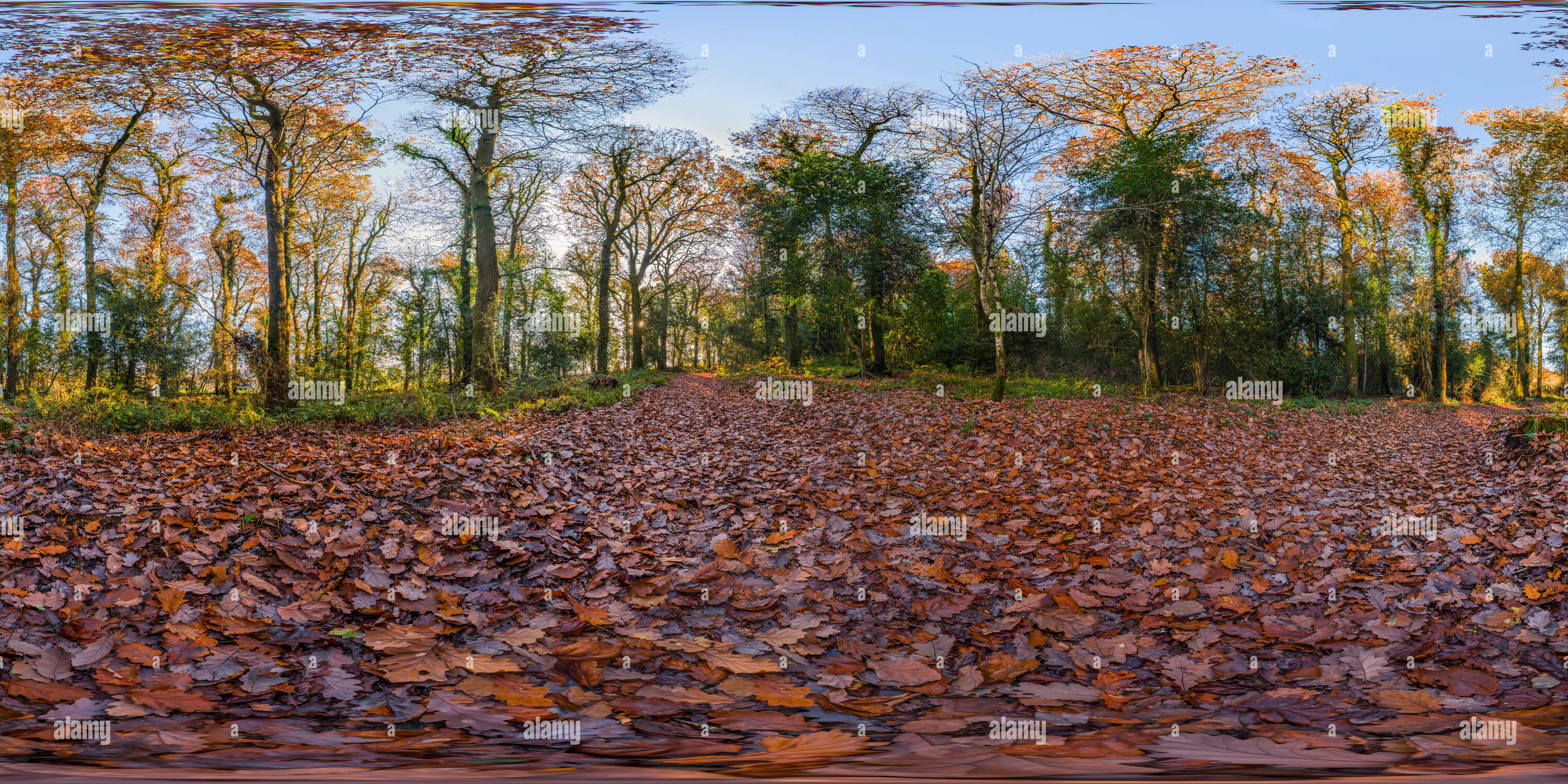 360 Grad Panorama Ansicht von Ballyfad Wald.co.Wexford. Irland. 360 Panorama.