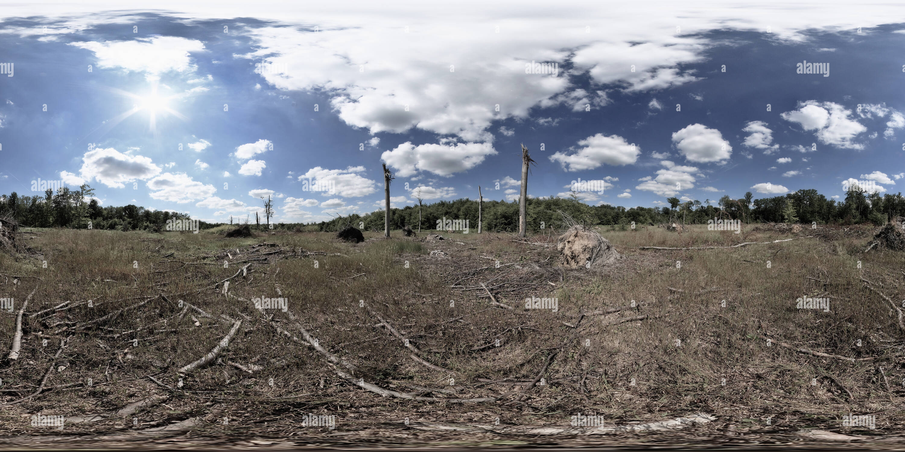 360 Grad Panorama Ansicht von Forêt de Compiegne