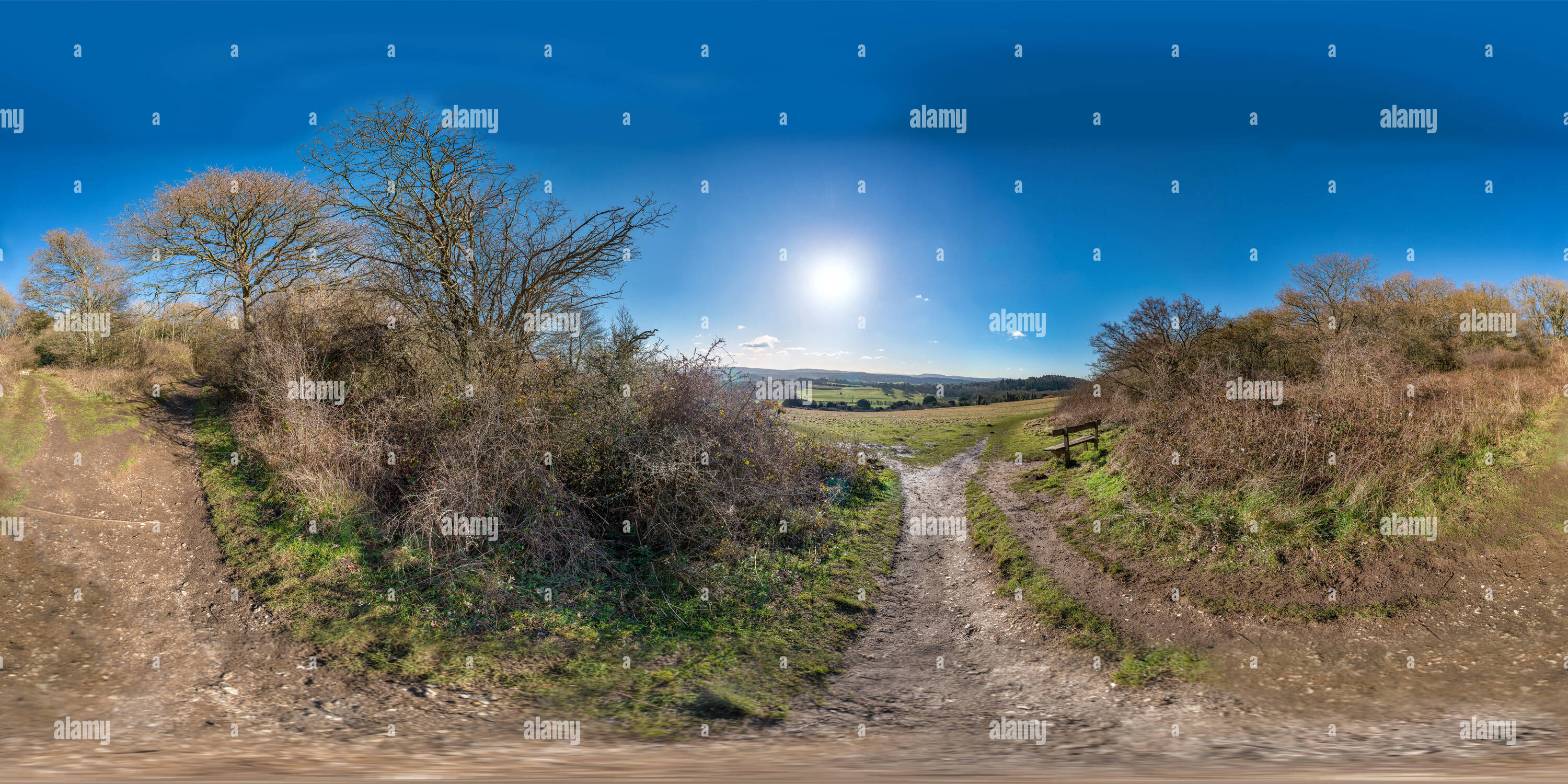 360 Grad Panorama Ansicht von Blick auf die Surrey Hills von Newlands Ecke auf einem sonnigen winterlichen Nachmittag.