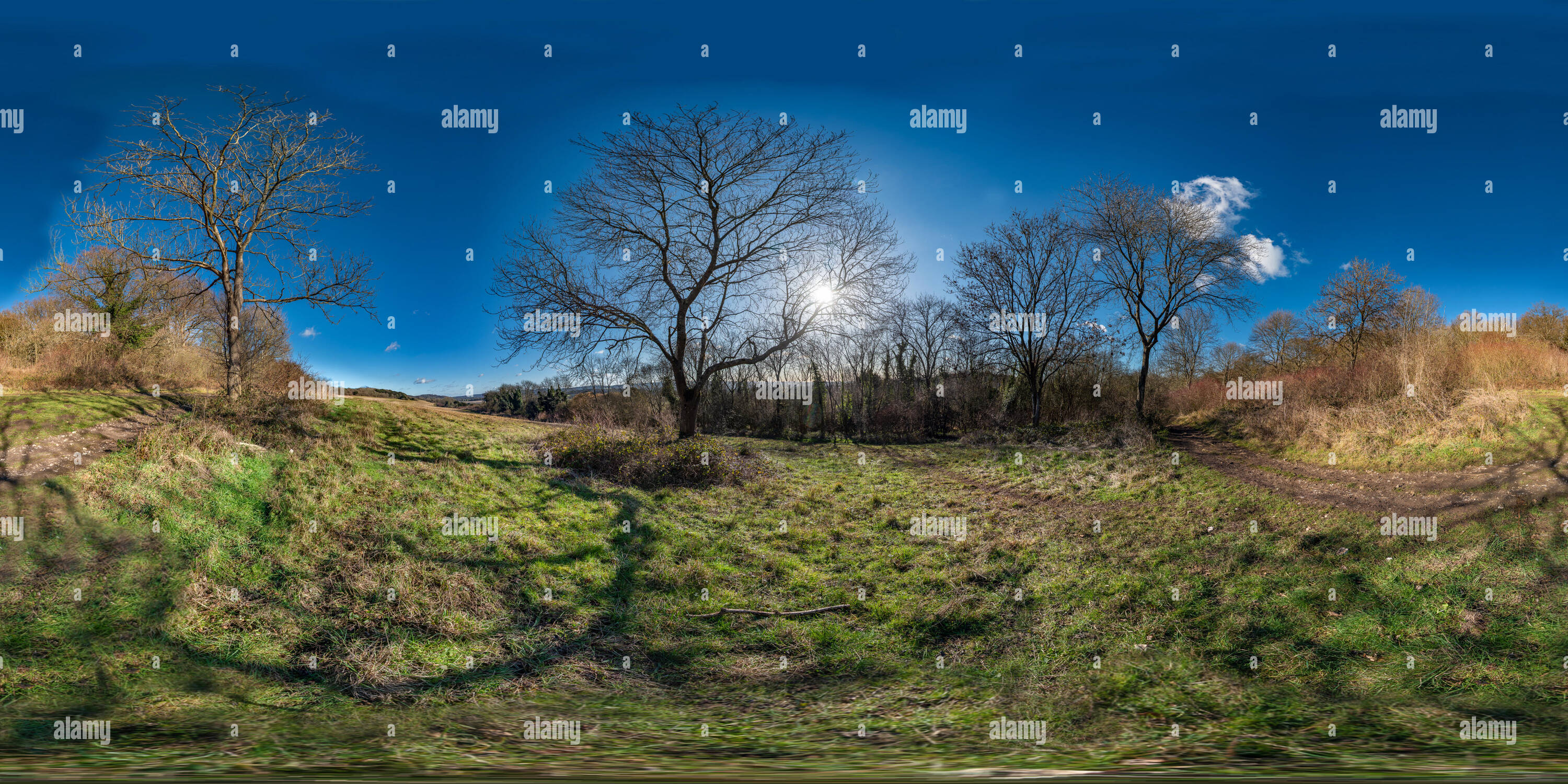 360 Grad Panorama Ansicht von Blick auf die Surrey Hills von Newlands Ecke auf einem sonnigen winterlichen Nachmittag.