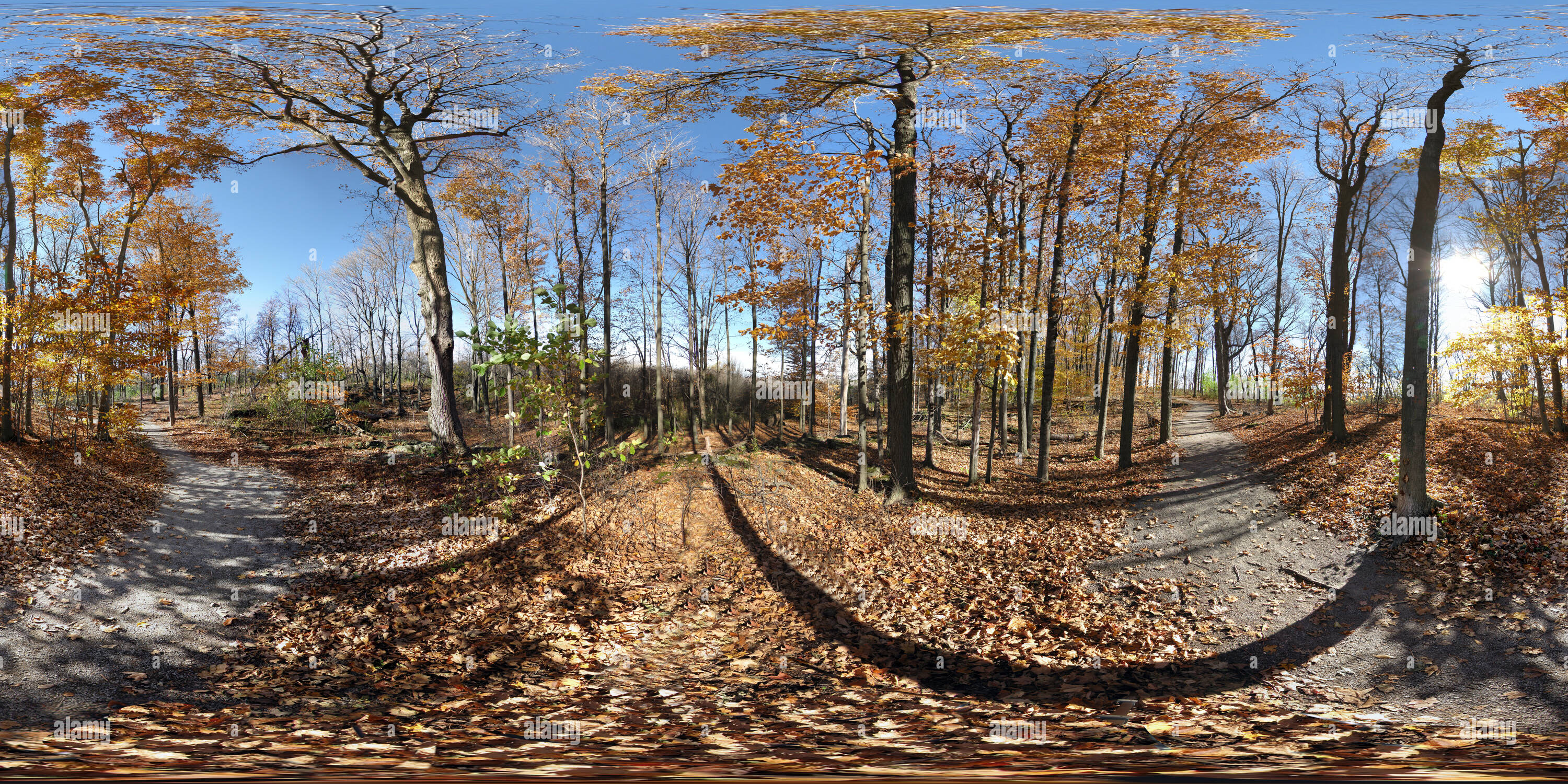 Eramosa karstschutzgebiet Fotos und Bildmaterial in hoher Auflösung