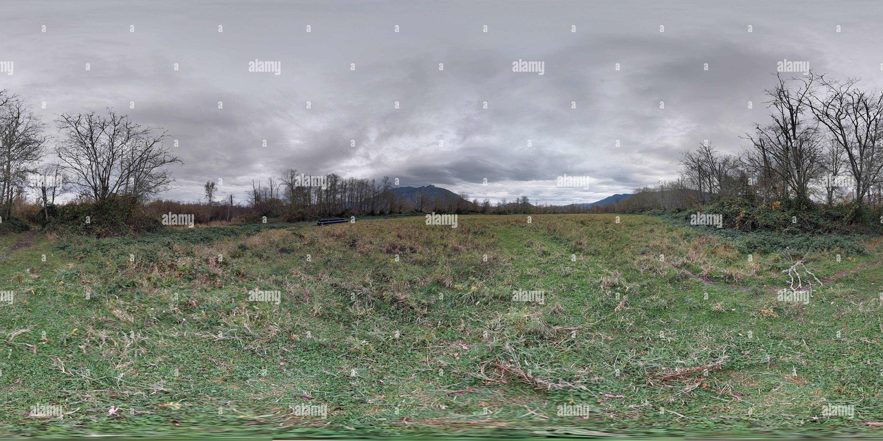 360 Grad Panorama Ansicht von Elk Weiden Snoqualmie Washington