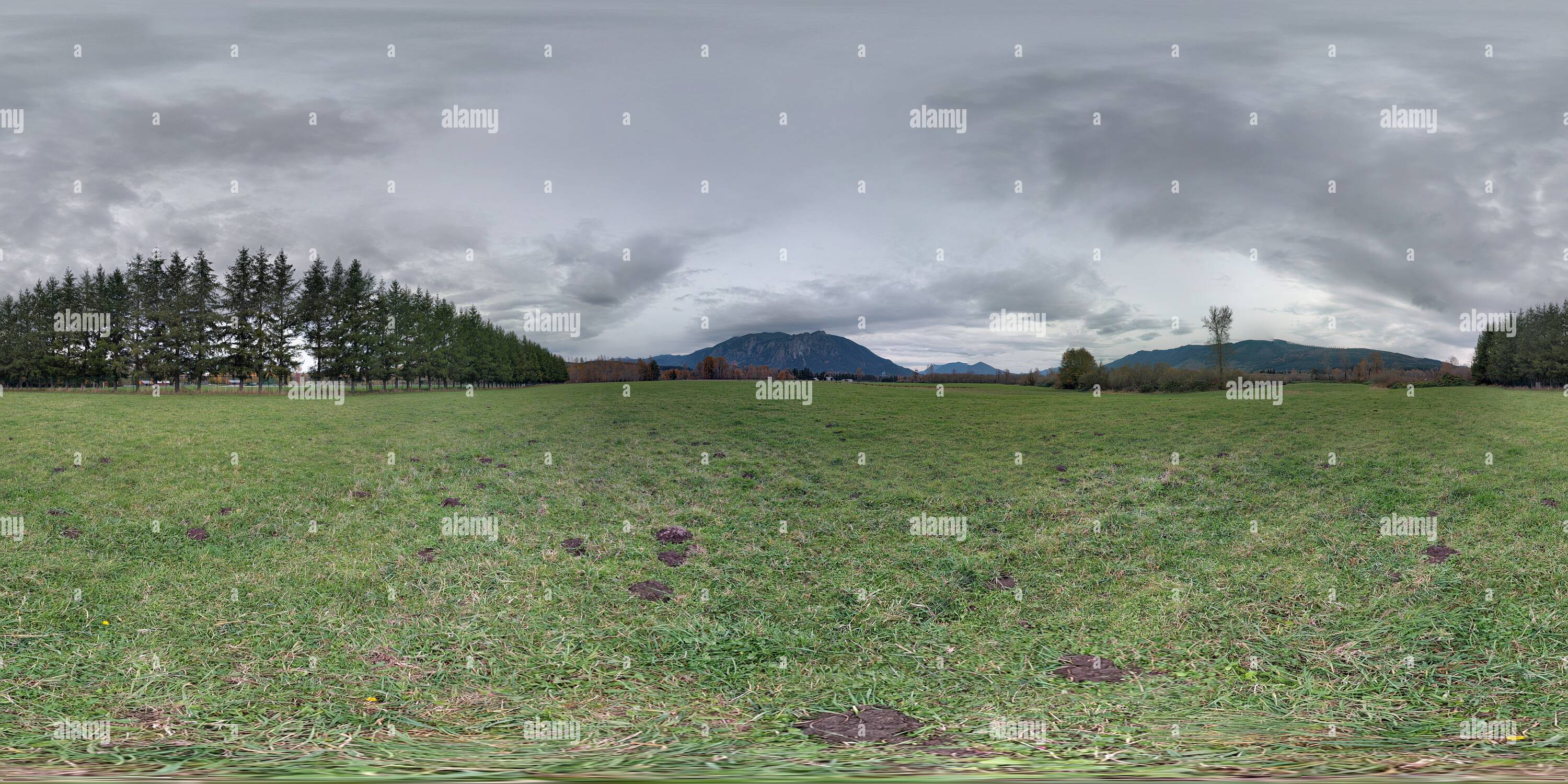 360 Grad Panorama Ansicht von Elk Weiden Snoqualmie Washington