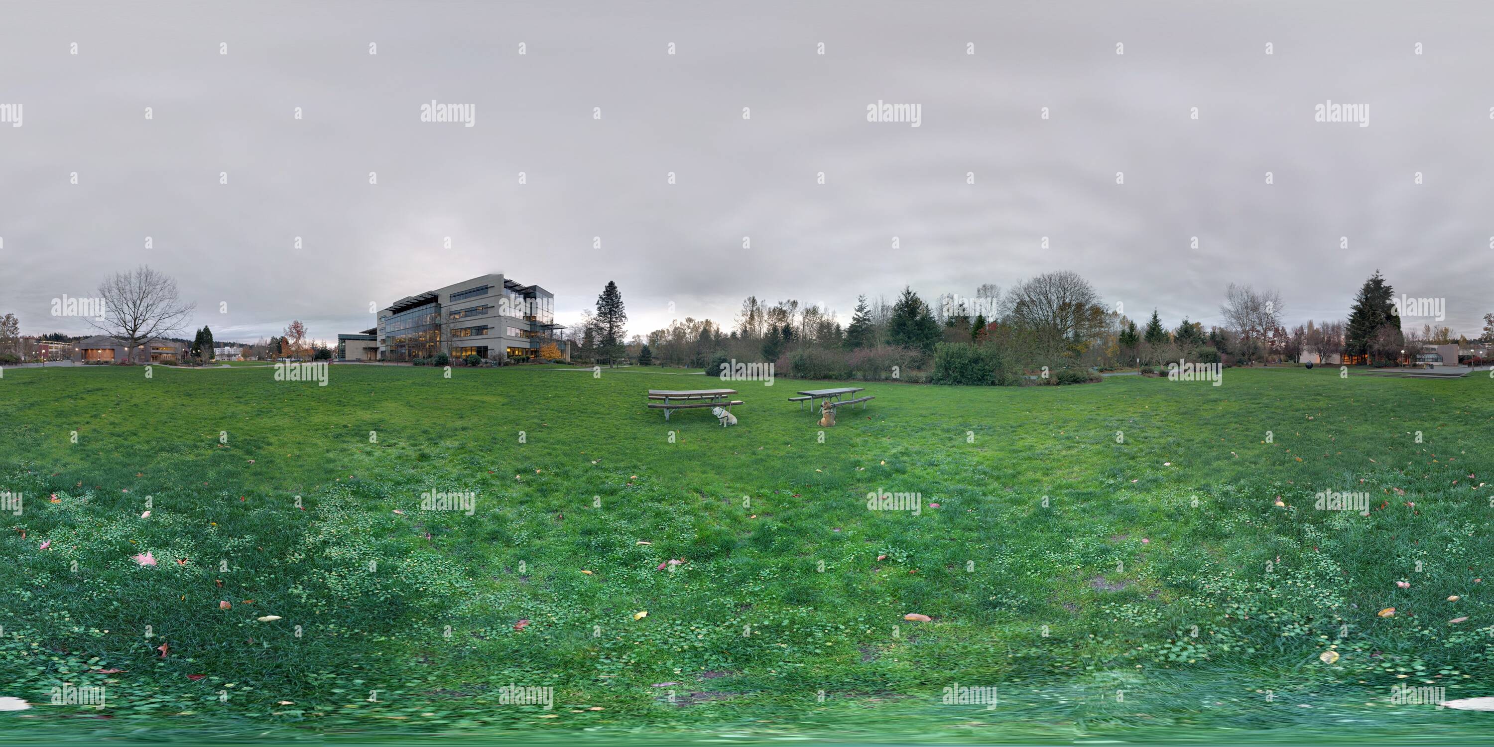 360 Grad Panorama Ansicht von Redmond Rathaus Campus, Redmond, Washington, USA