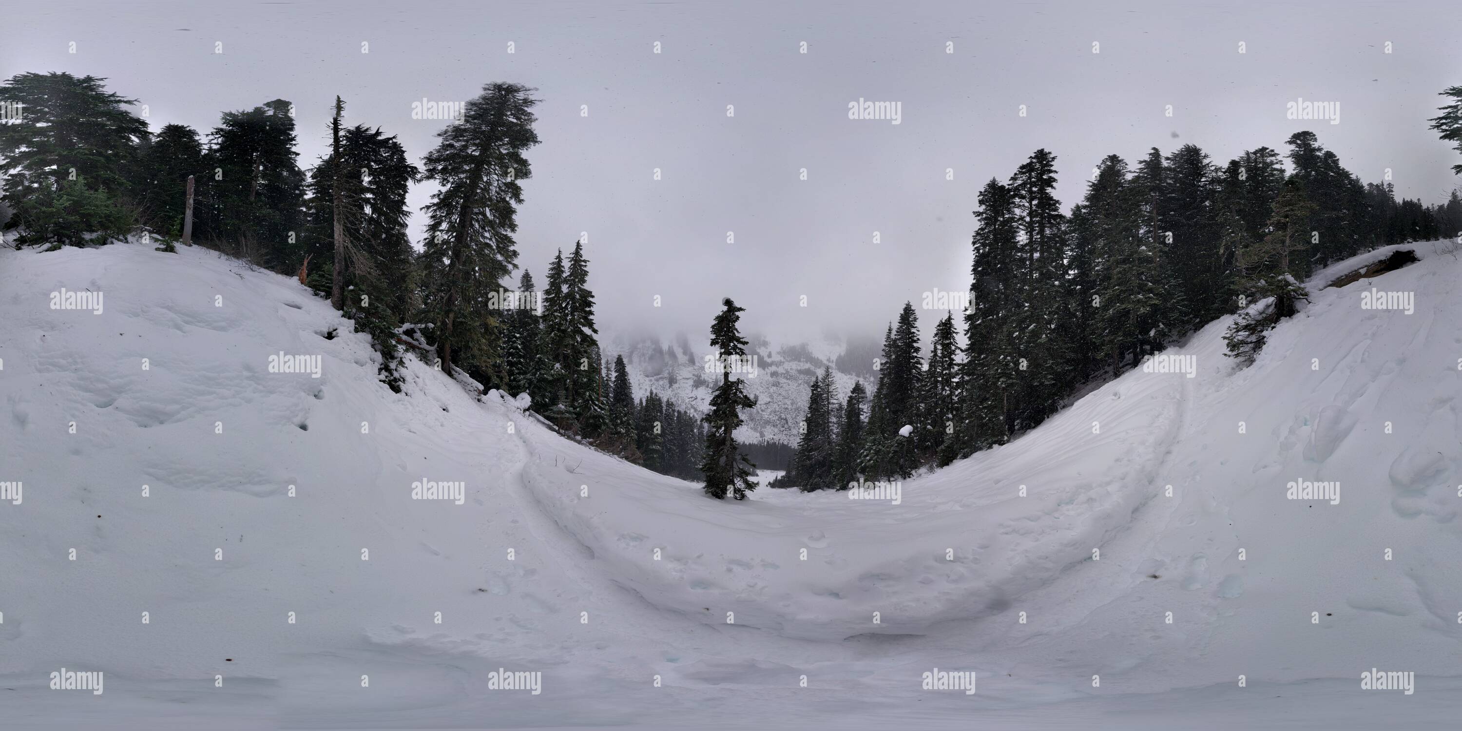 360 Grad Panorama Ansicht von Auf dem Weg zu Annette See, in der Nähe der Snoqualmie Pass, Washington