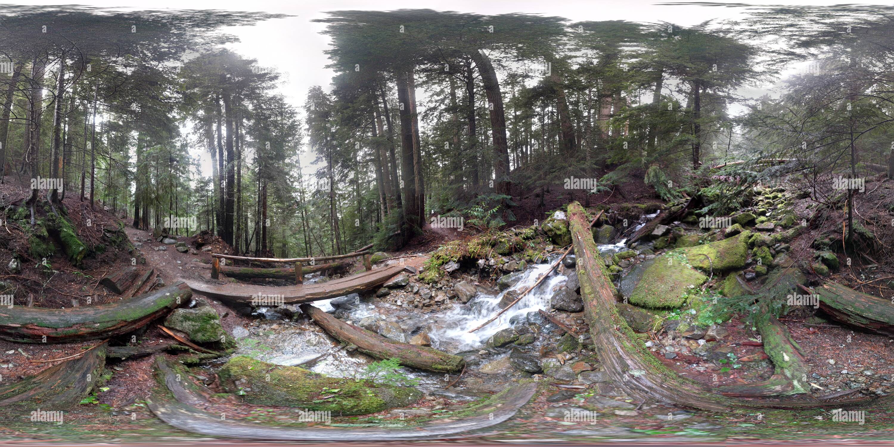 360 Grad Panorama Ansicht von Auf dem Weg zu Annette See, in der Nähe der Snoqualmie Pass, Washington