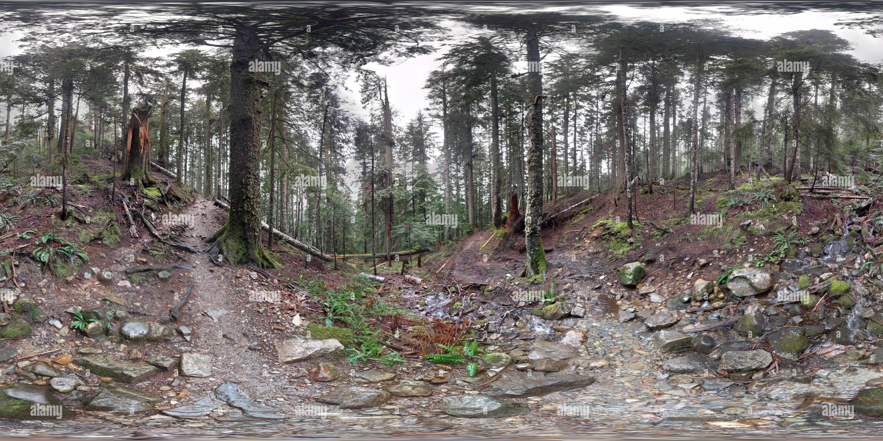 360 Grad Panorama Ansicht von Auf dem Weg zu Annette See, in der Nähe der Snoqualmie Pass, Washington