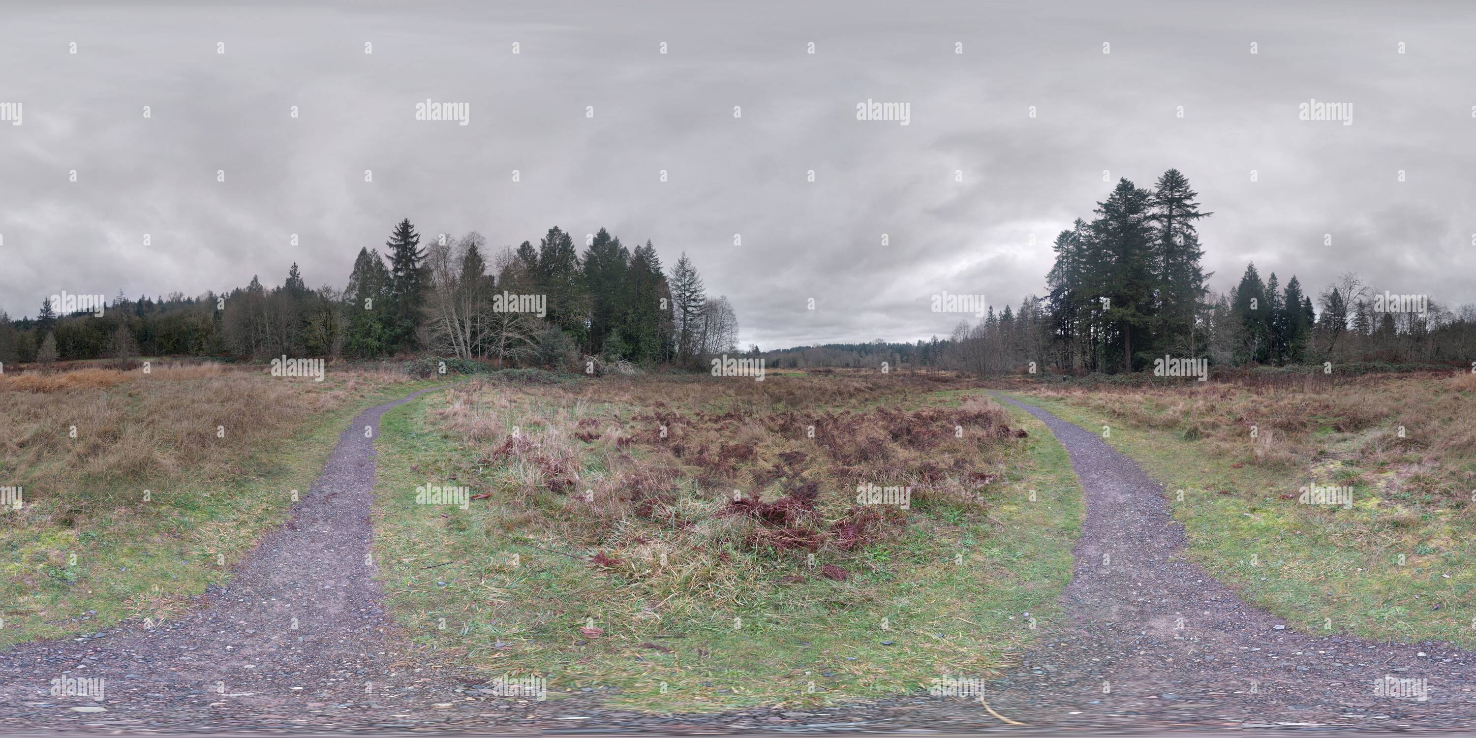 360 Grad Panorama Ansicht von Evans Creek Park, einem kalten Wintertag, Dezember 2016