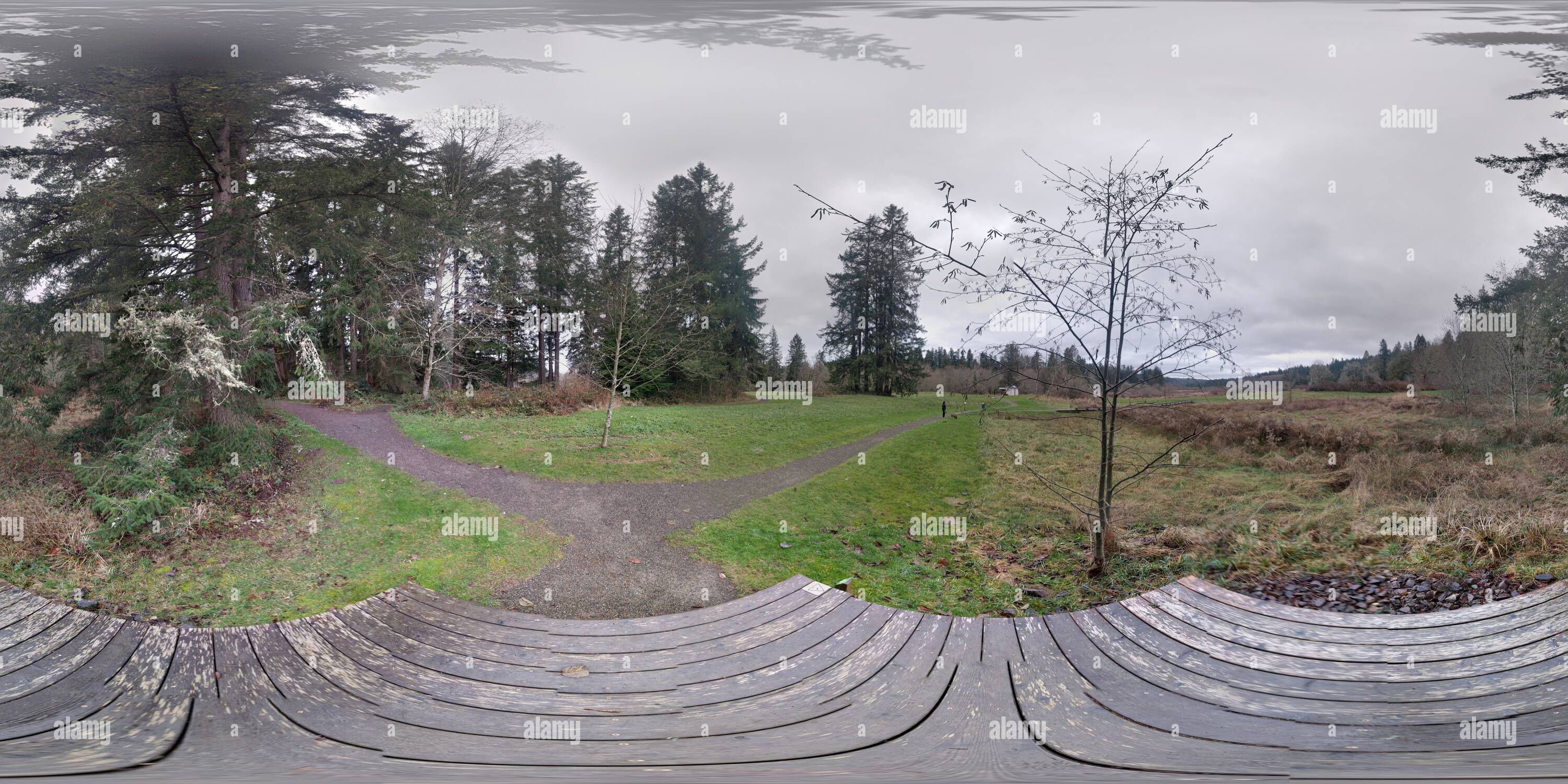 360 Grad Panorama Ansicht von Evans Creek Park, einem kalten Wintertag, Dezember 2016