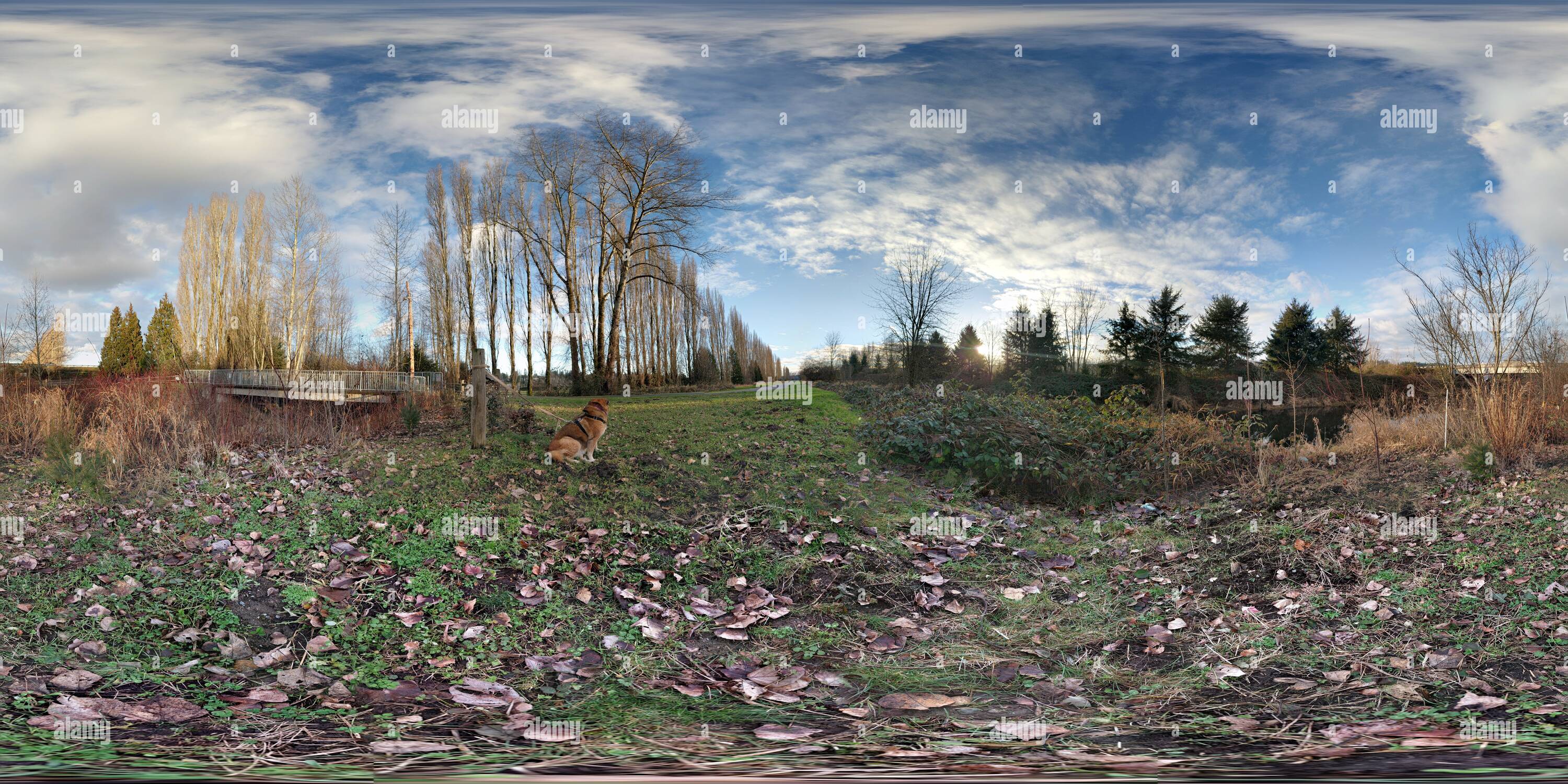 360 Grad Panorama Ansicht von Sammamish River Trail, Redmond, Washington