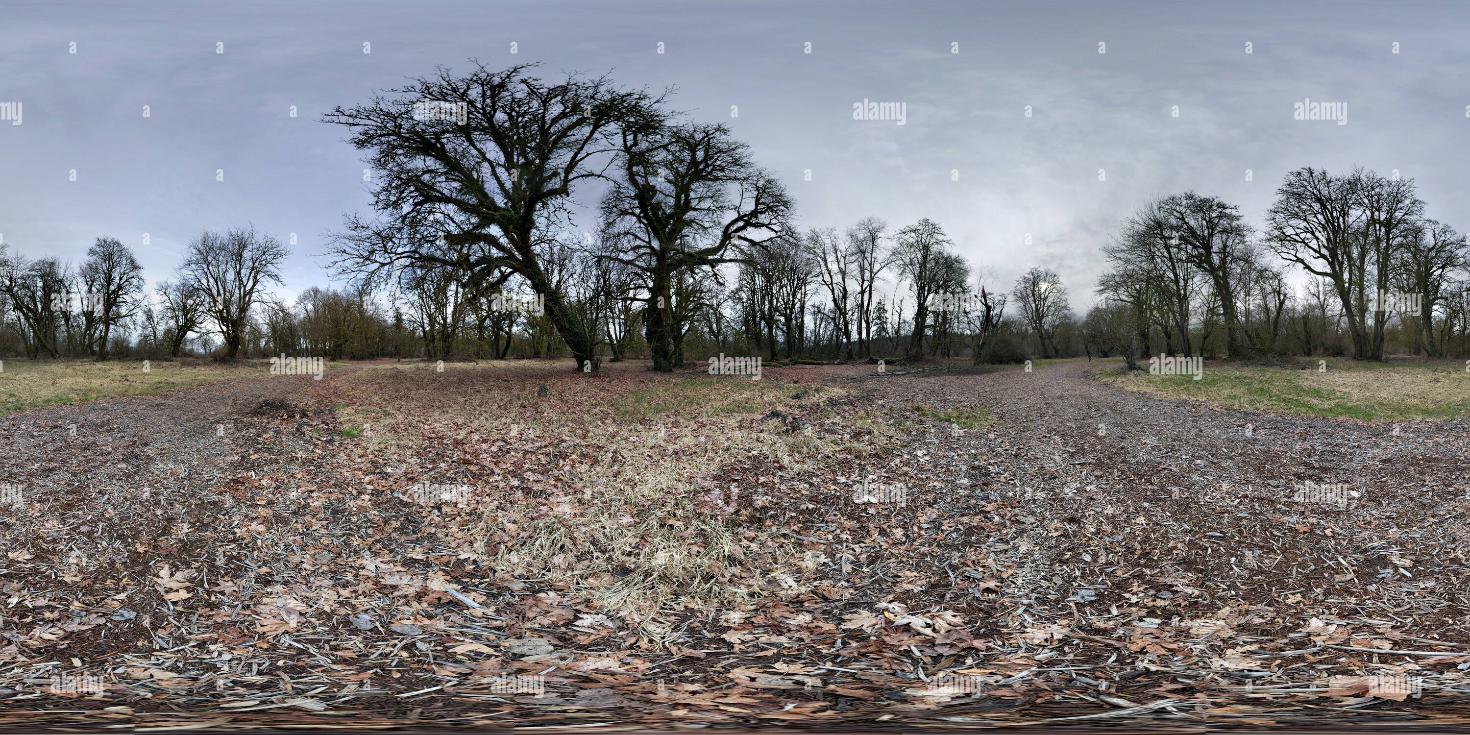 360 Grad Panorama Ansicht von Crescent Lake Wildlife Recreation Area