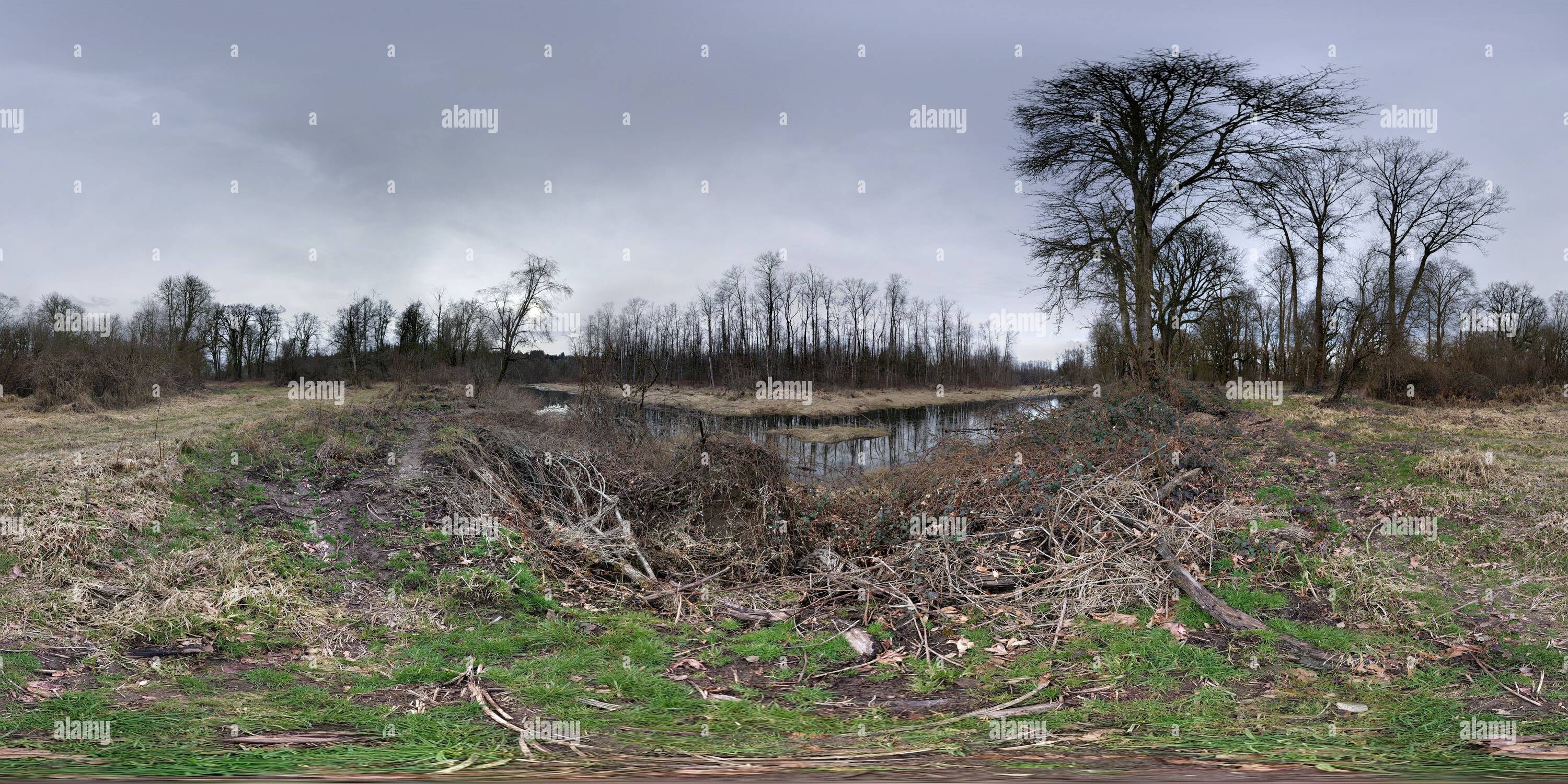 360 Grad Panorama Ansicht von Crescent Lake Wildlife Recreation Area