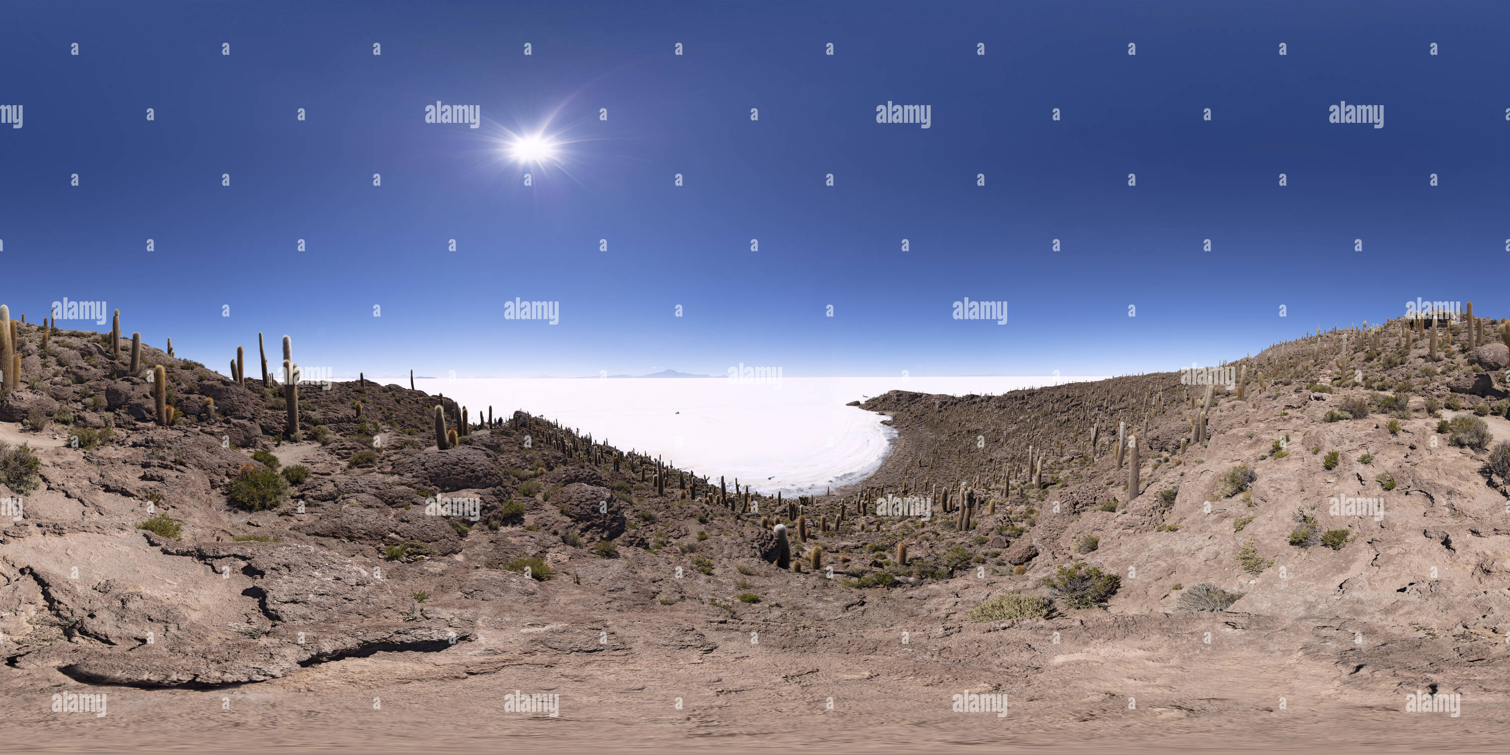 360 Grad Panorama Ansicht von Isla Incahuasi im Salar de Uyuni, Bolivien
