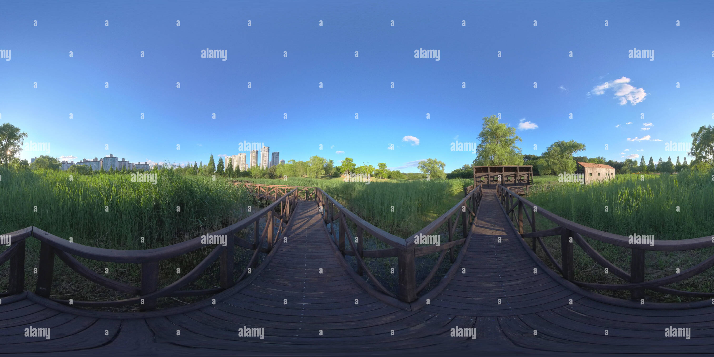 360 Grad Panorama Ansicht von Ansan South Korea - 7. Juni 2019. Panorama 360 Grad Blick in den Park. Wald und Park 360 Bild, VR-AR Inhalt.