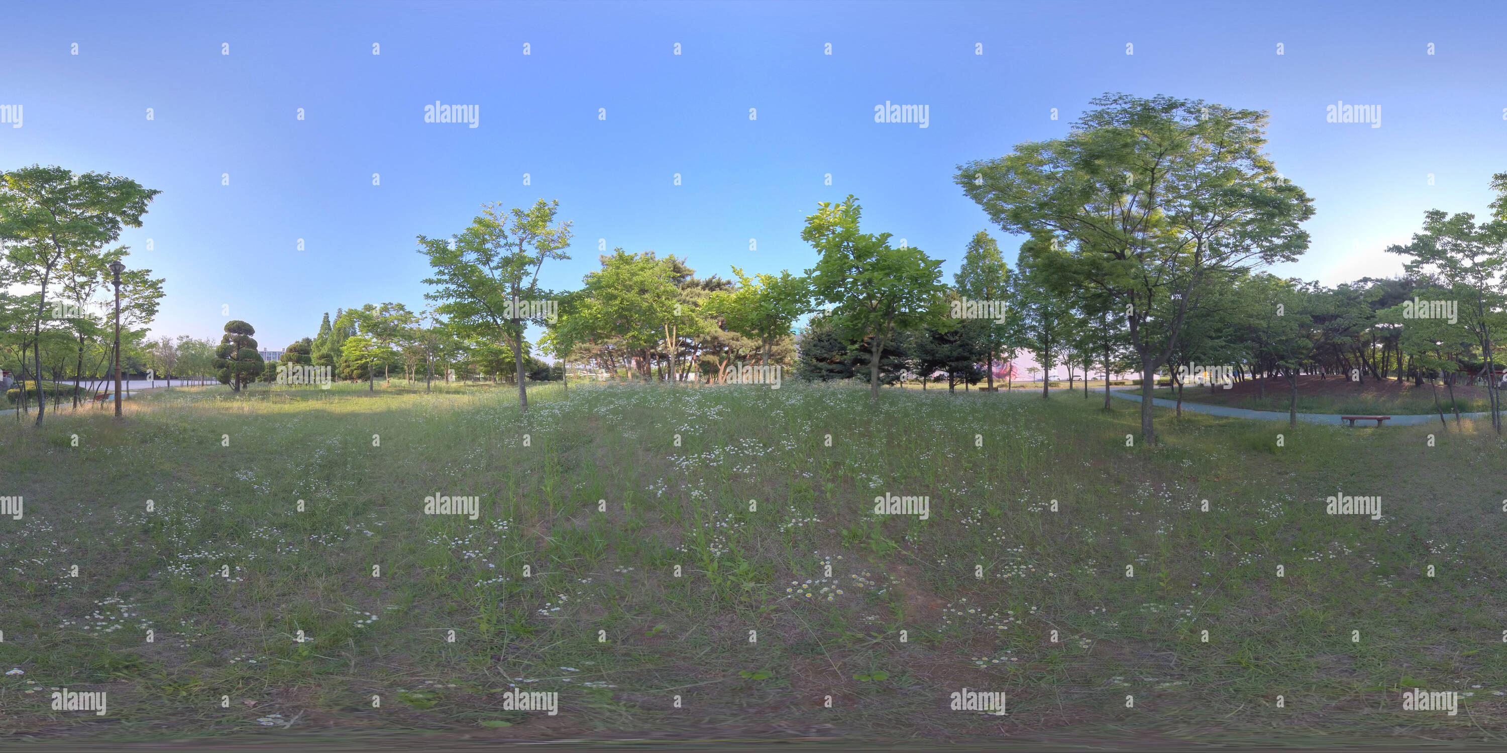 360 Grad Panorama Ansicht von Ansan, Südkorea - 12. Juni 2019. Panorama 360 Grad Blick in den Park. Wald und Park 360 Bild, VR-AR Inhalt.