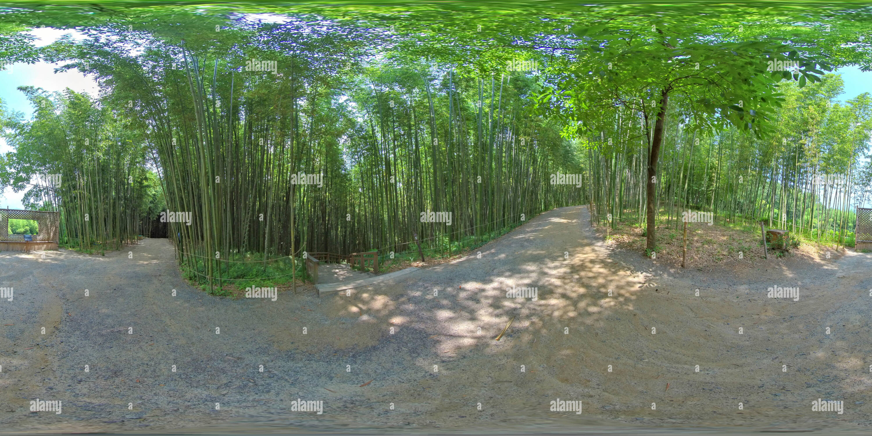 360 Grad Panorama Ansicht von Damyang, Südkorea - 24 Juli 2019 Juknokwon. 360 Grad Panorama von sphärischen Bambuswald.